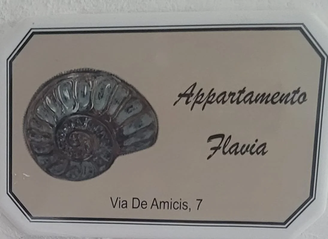 WhatsApp Image 2026-01-24 at 13.38.21.jpeg