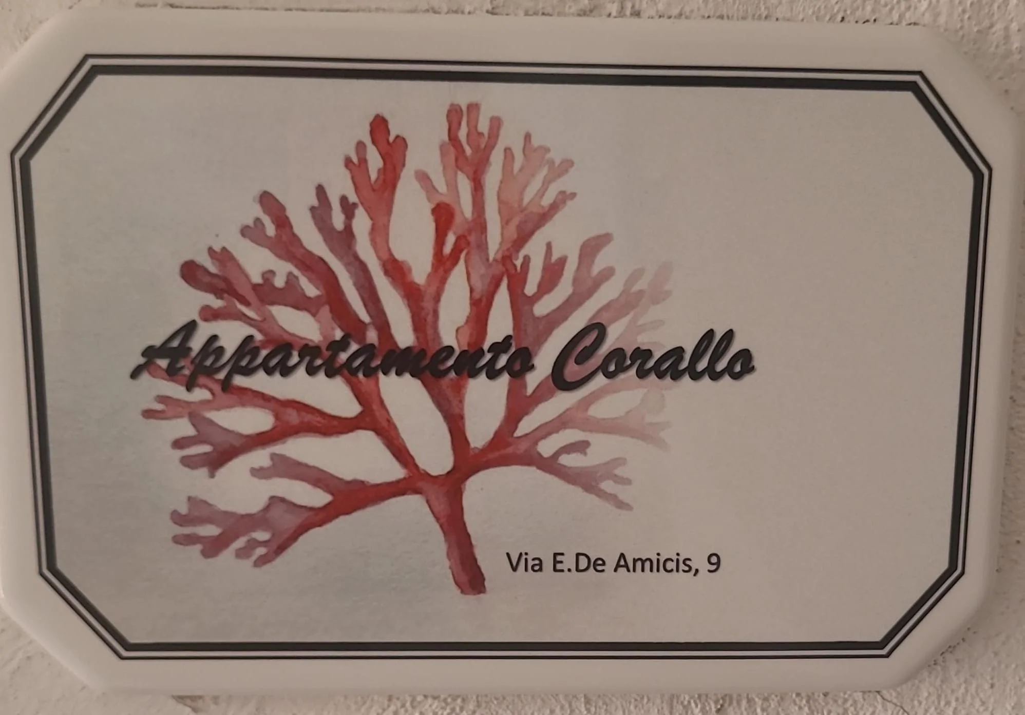 WhatsApp Image 2026-01-24 at 13.40.16.jpeg