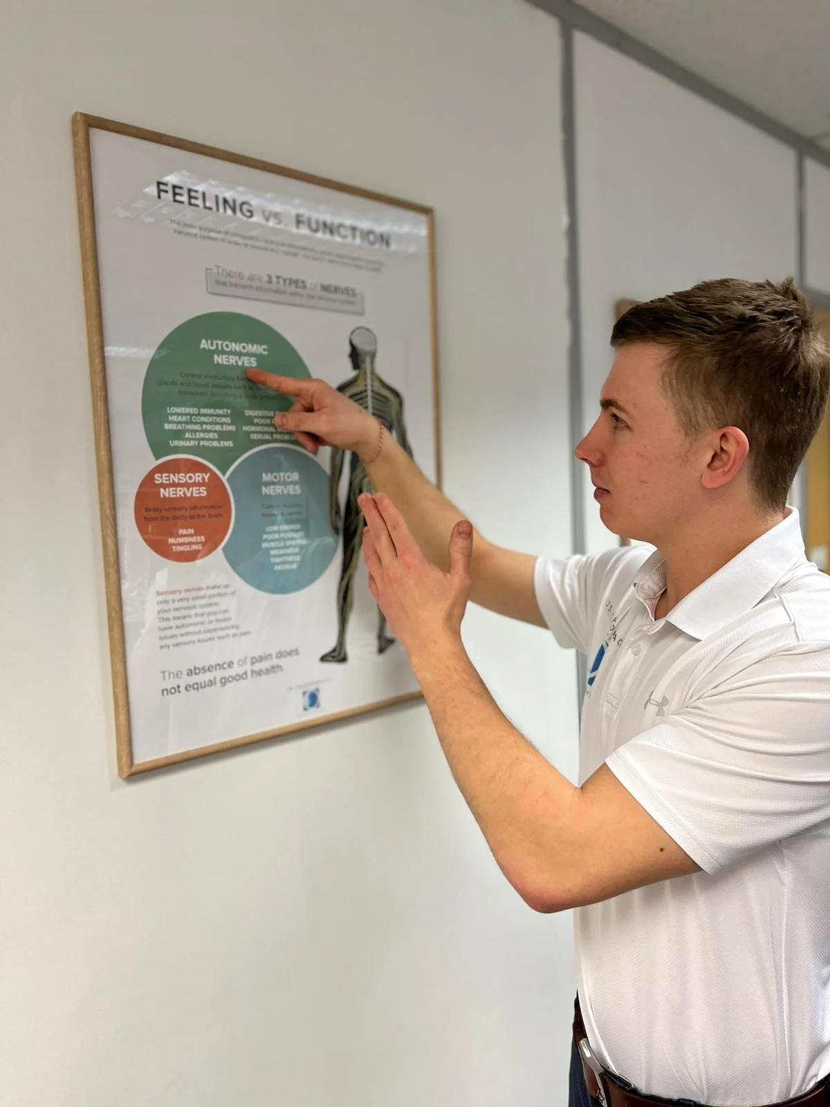 Benefits of working with different Healthcare professionals&nbsp;