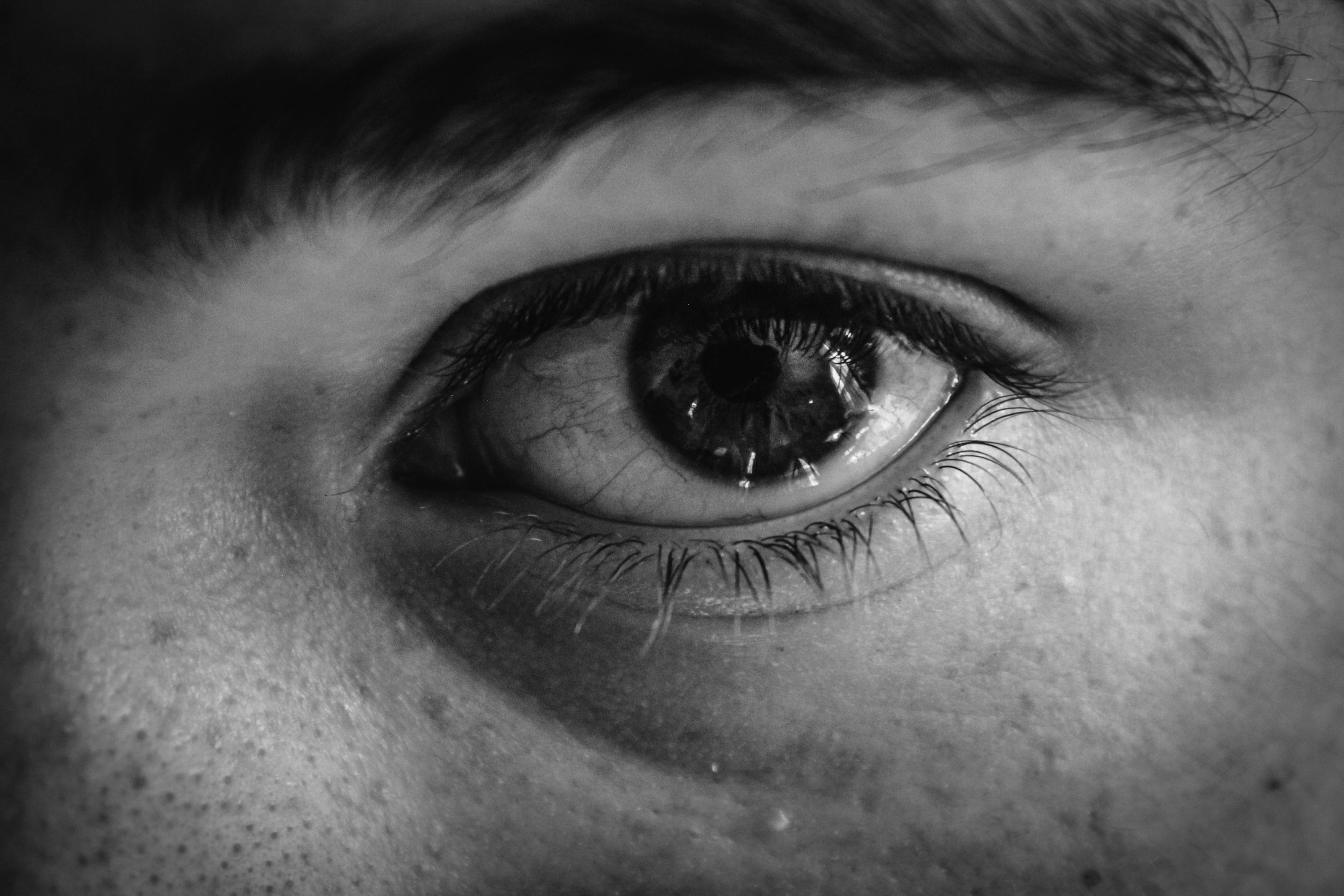  My Journey Into the World of Photography 