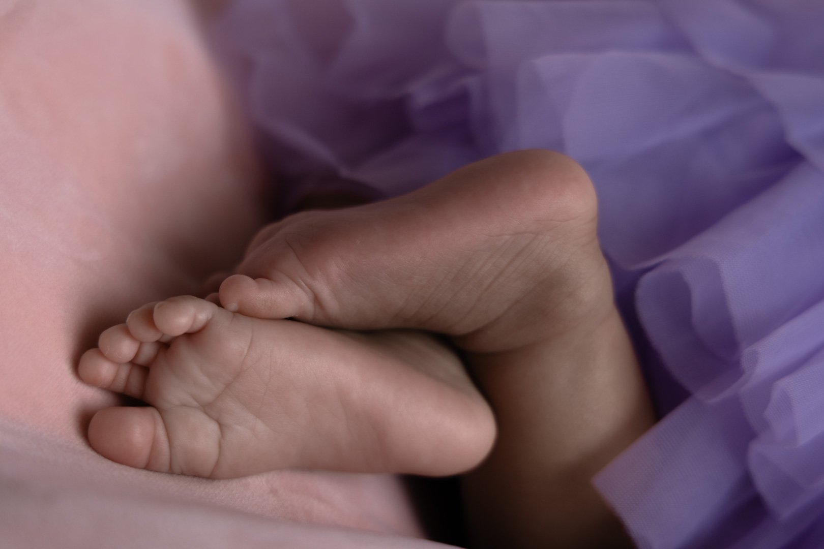 newborn baby portraits, infant photos, tiny toes