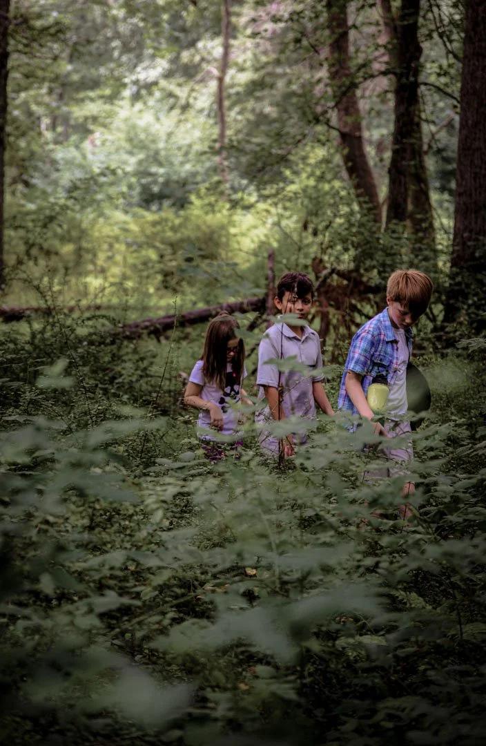 Children Adventuring