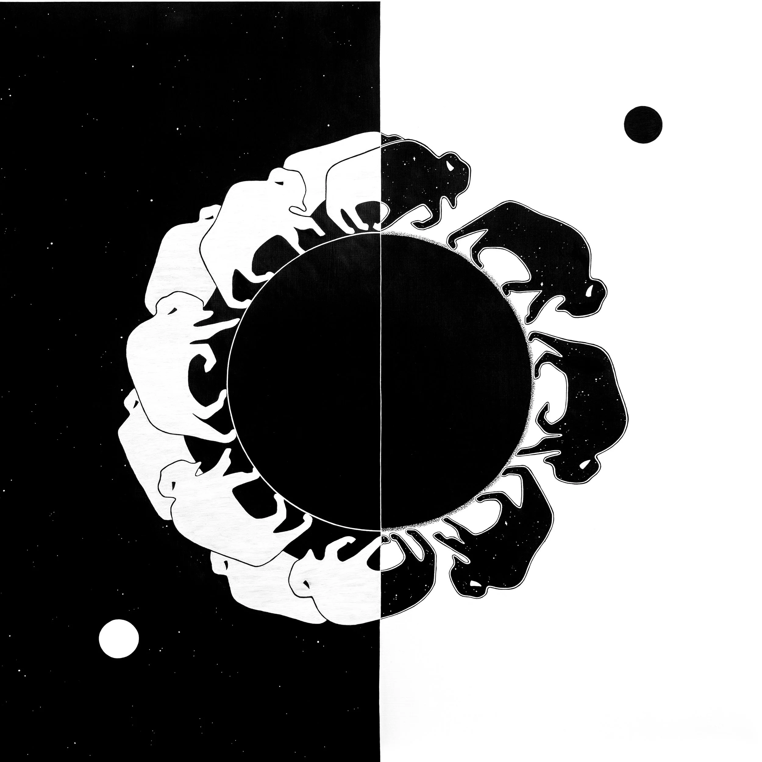 Return of the Buffalo.jpeg