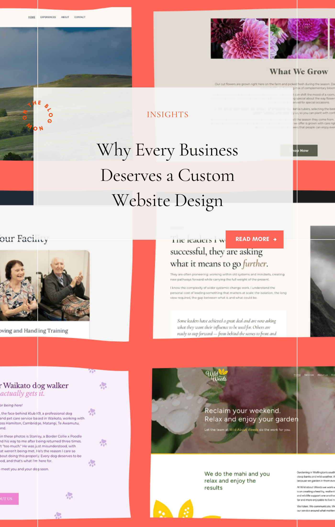 Why Every Business Deserves a Custom Website Design