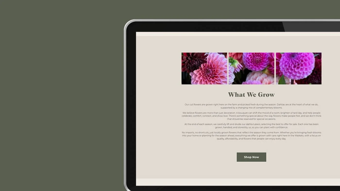 One page ecommerce website design NZ