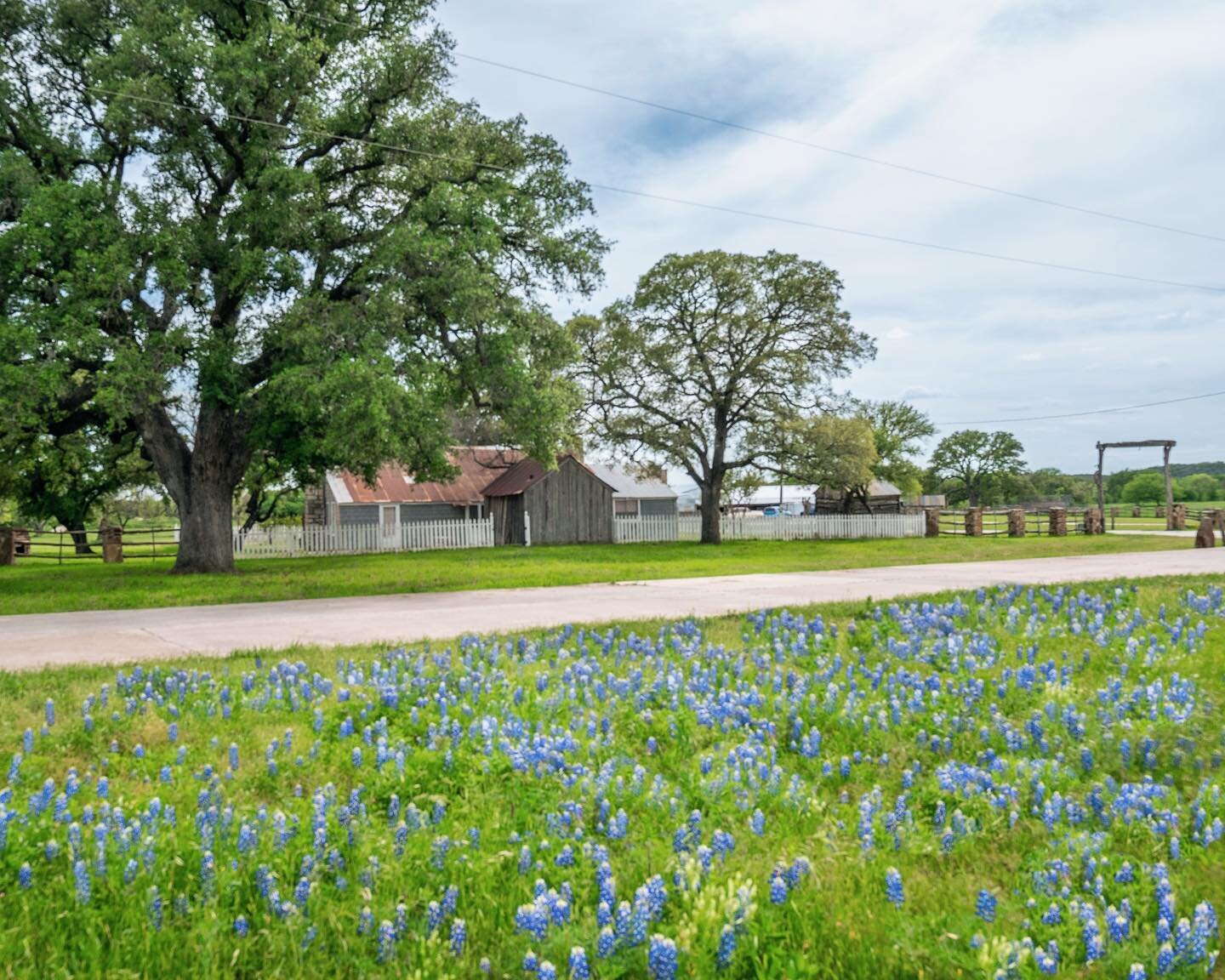 Spring is in full swing at Dos Conchas Ranch and the bluebonnets are stealing the show. Imagine waking up in The Treehouse, surrounded by Texas Hill Country with views like this! We have a couple of remaining available dates April 19 &amp; 20. Now is