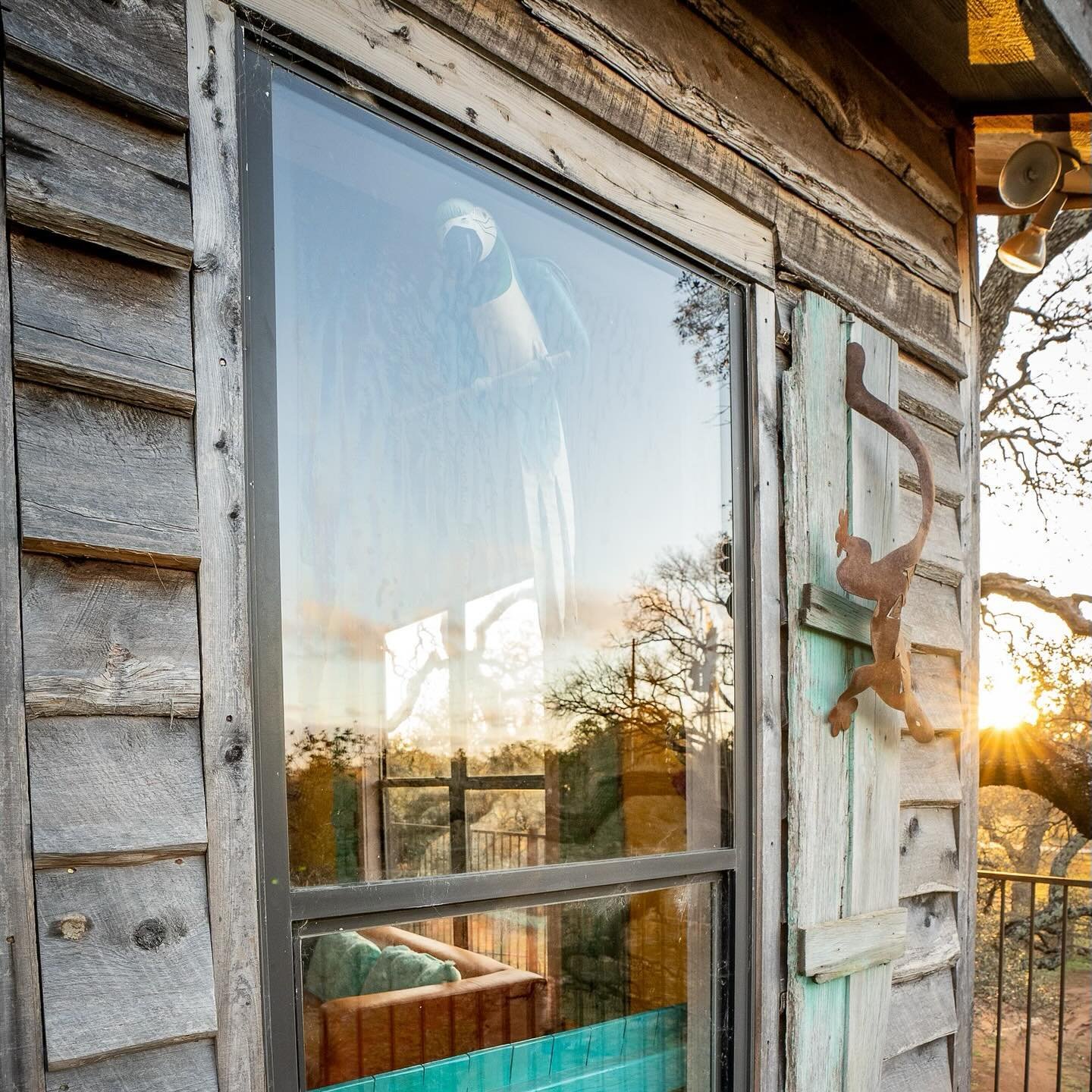 Discover the legacy vintage features of The Treehouse at Dos Conchas Ranch.

Nestled in the heart of our 800-acre Hill Country ranch, the Treehouse AirBnB is a masterpiece of craftsmanship, history and commitment to honoring the legacy of the communi