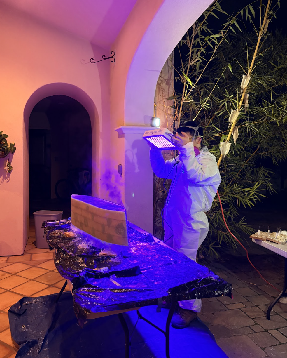 image of curing resin