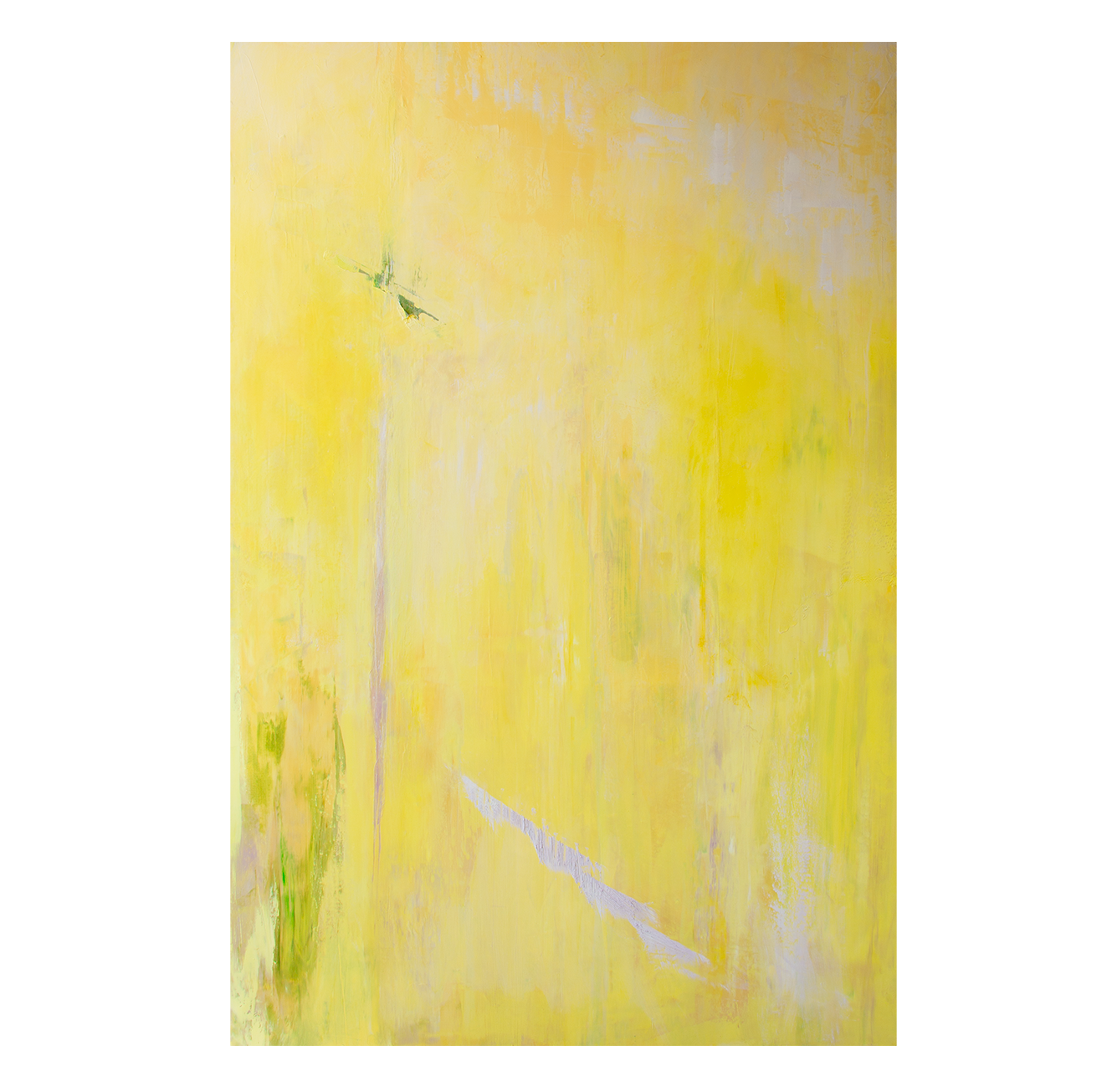 Conditions: Yellow | oil & cold wax on canvas, 60 x 40in., $7,000