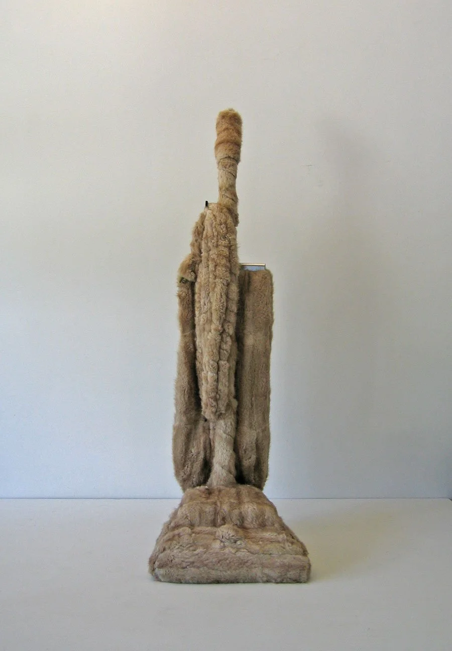 Vacuumn 02.jpg