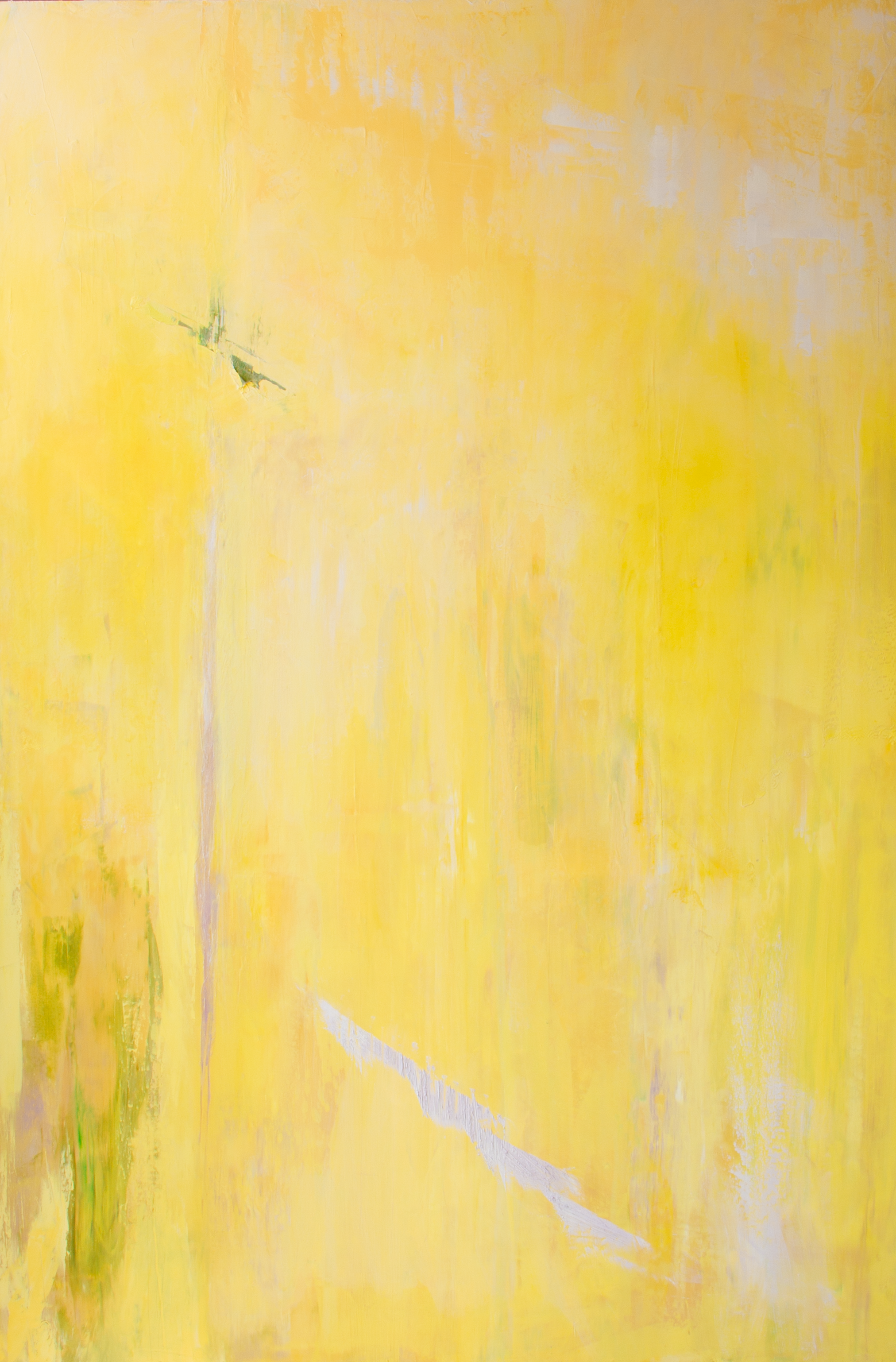 Conditions: Yellow,
Oil and cold wax on canvas 
60 x 40 in.
2026
