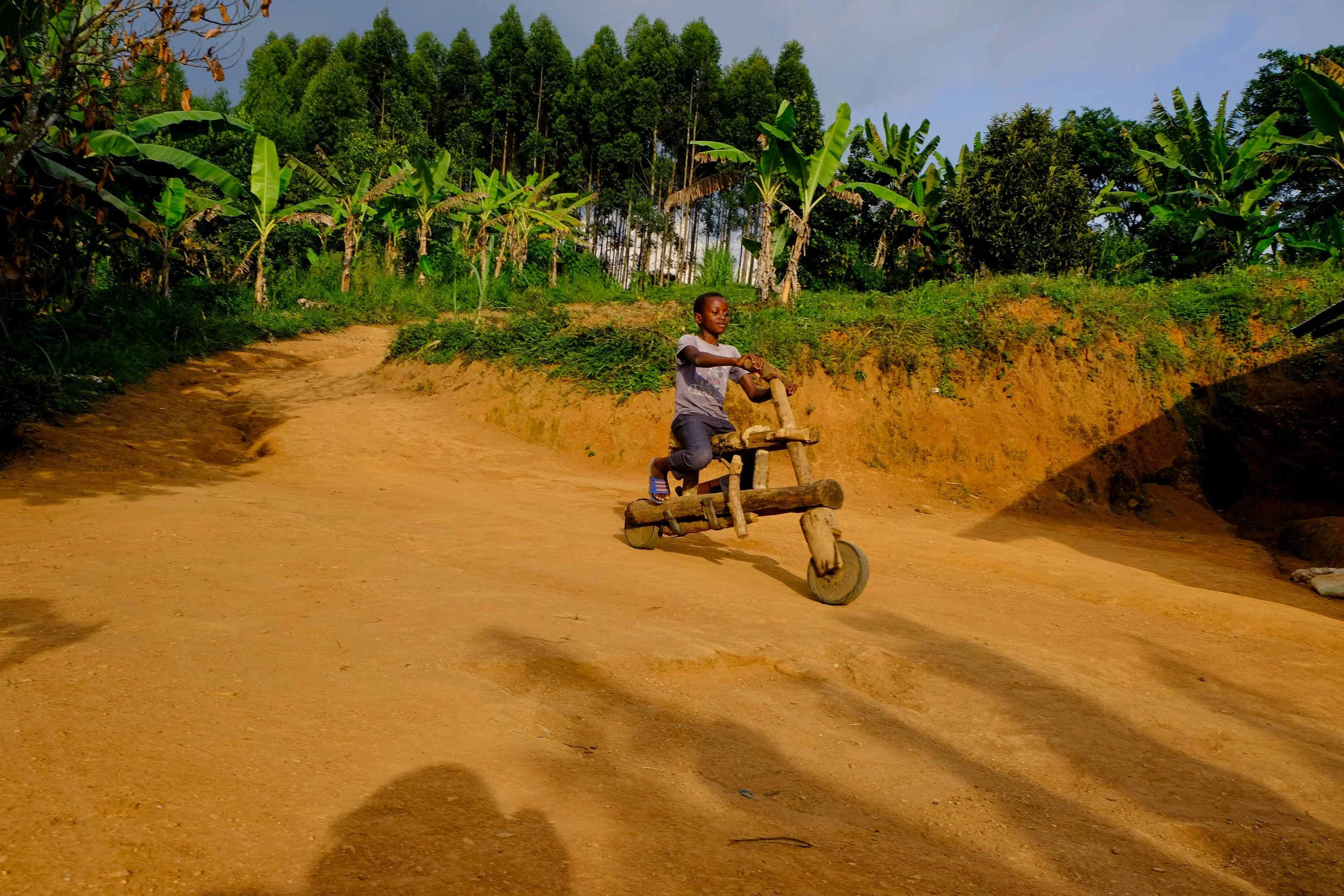Kibale National Park, Uganda, 2022. 