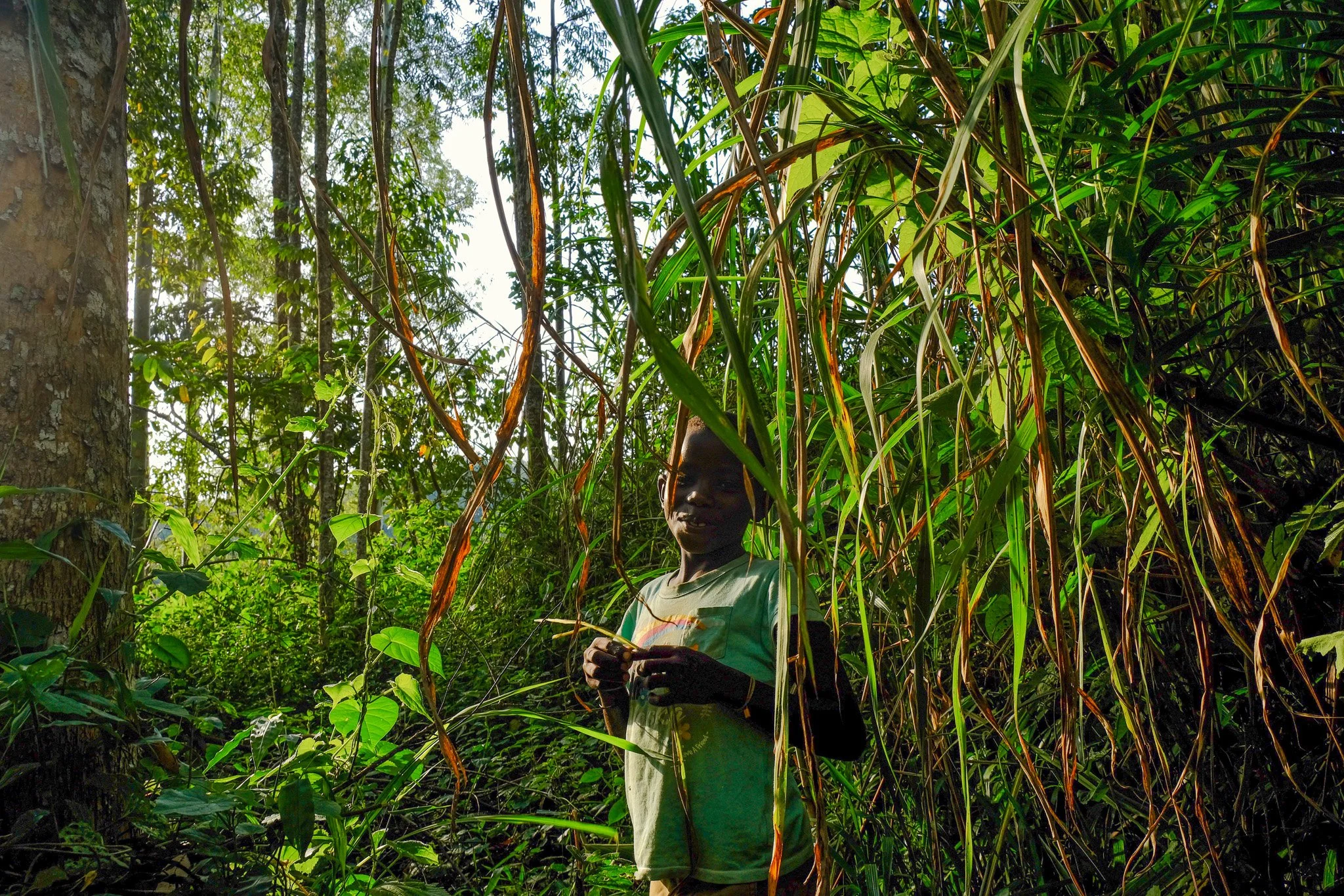 Kibale National Park, Uganda, 2022. 
