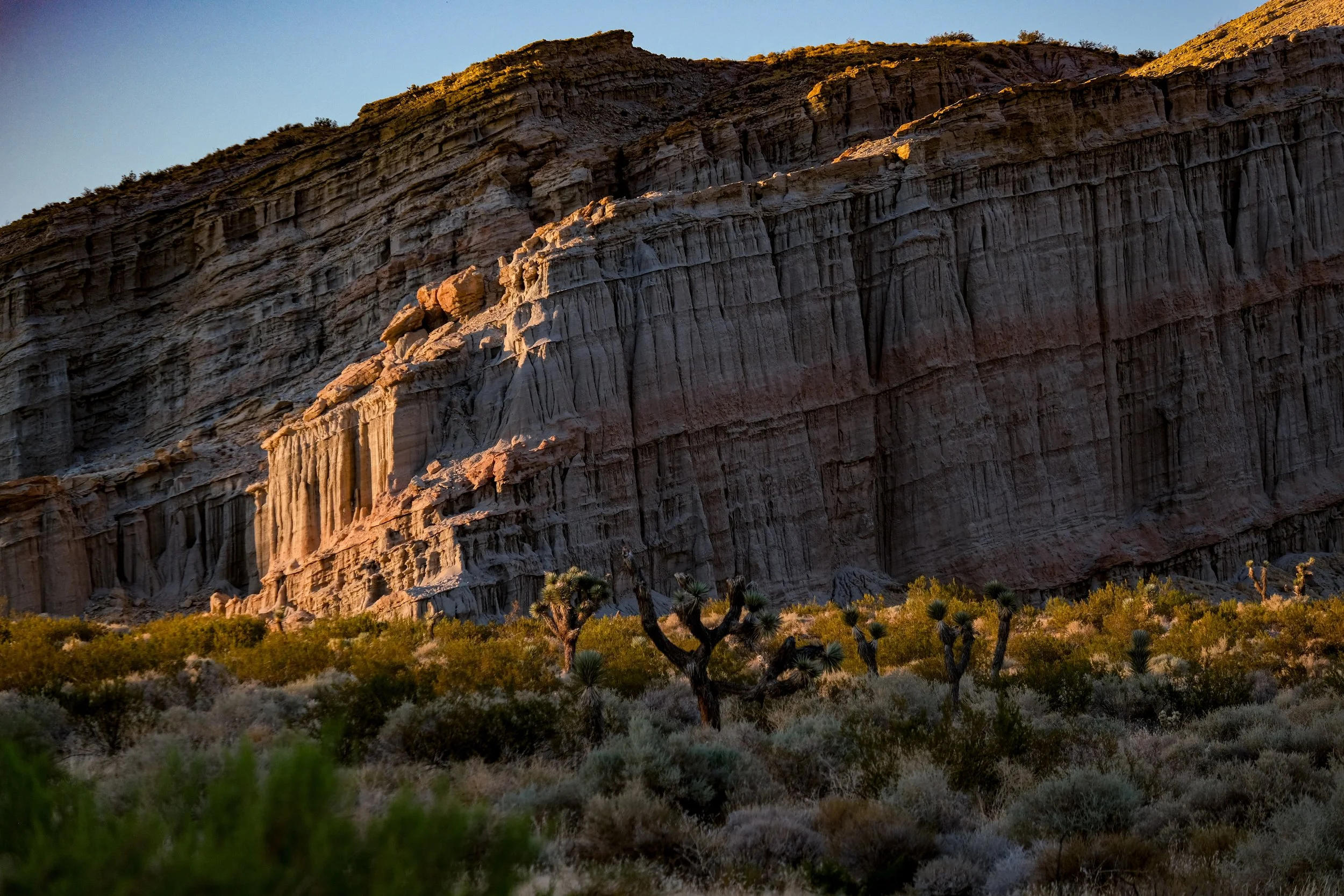 Mojave Desert, 2026. 