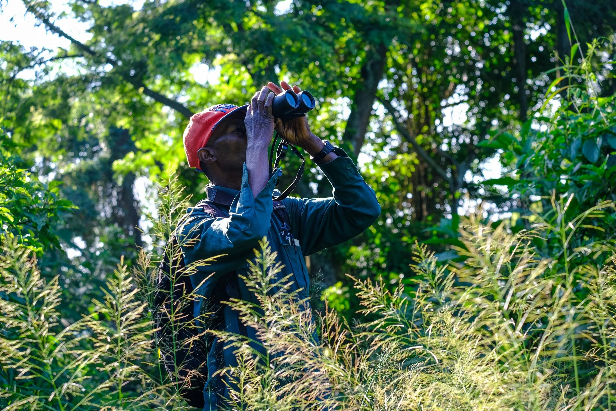 Kibale National Park, Uganda, 2022. 