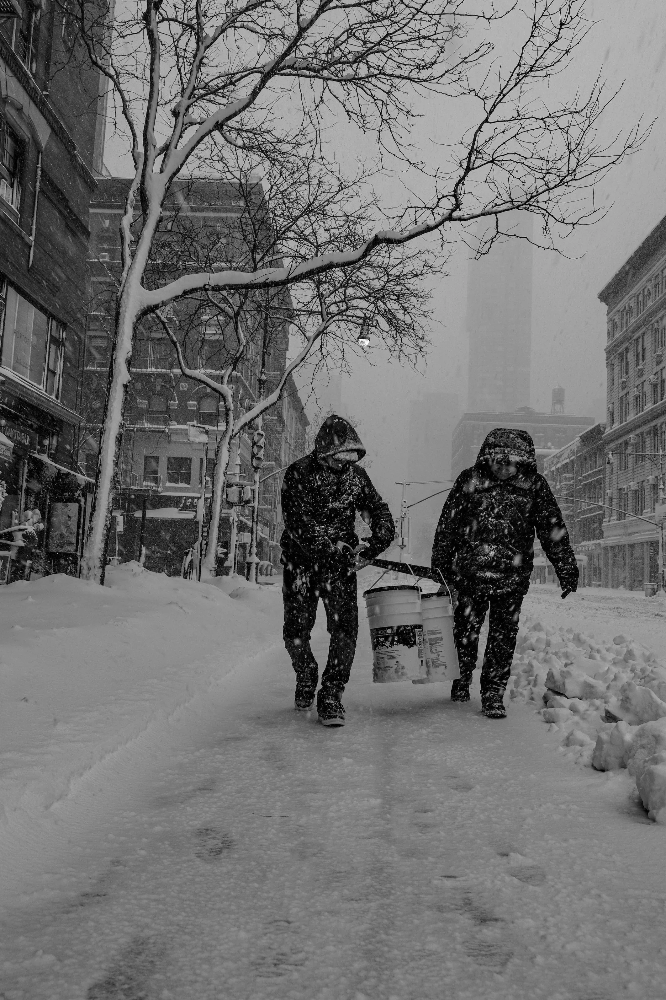 New York City, 2026. 