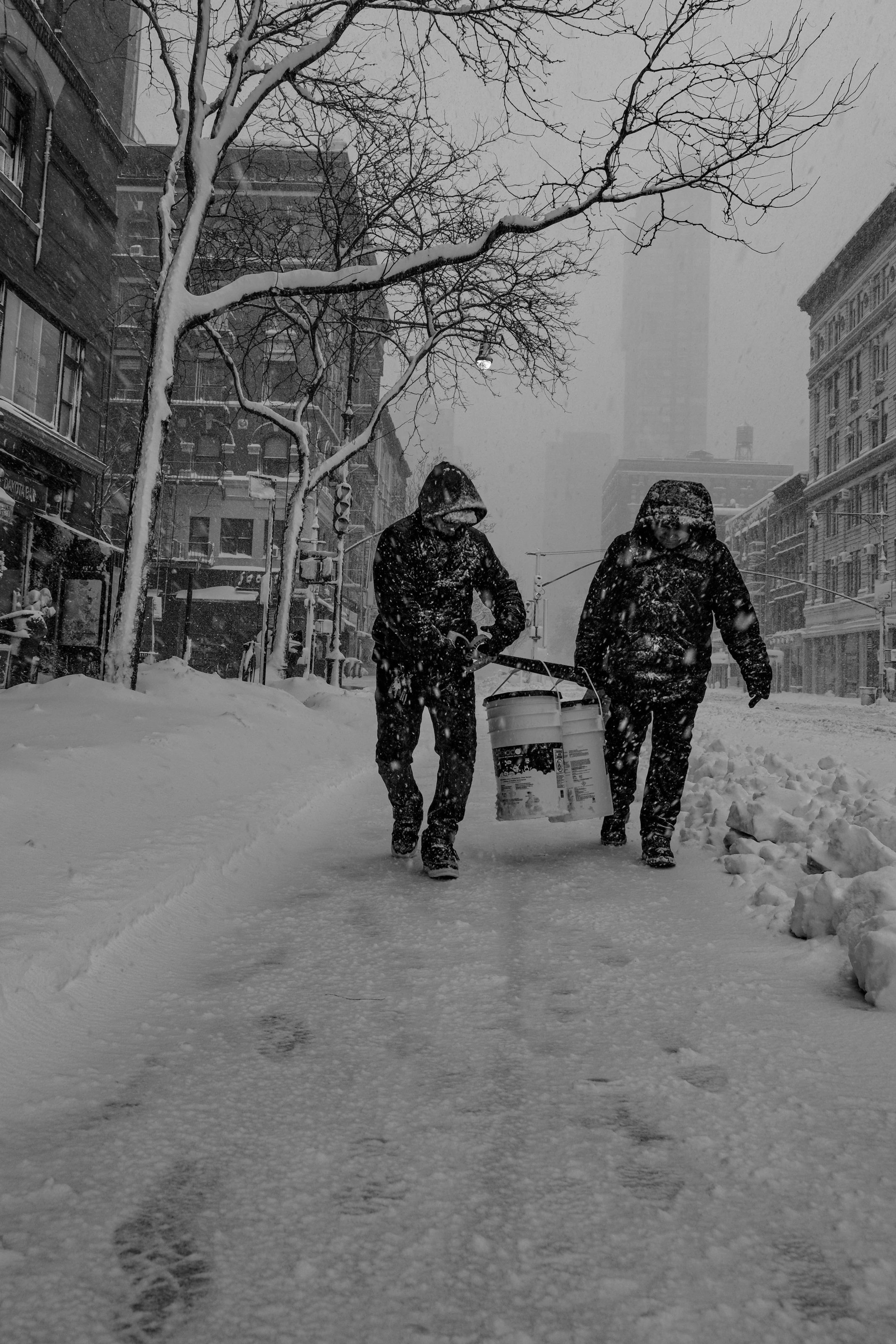 New York City, 2026. 