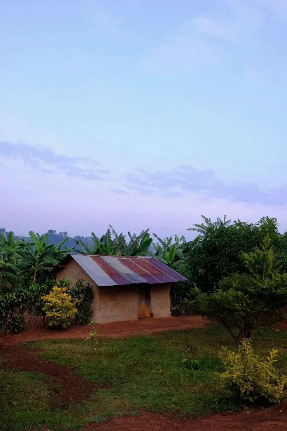 Kibale National Park, Uganda, 2022. 