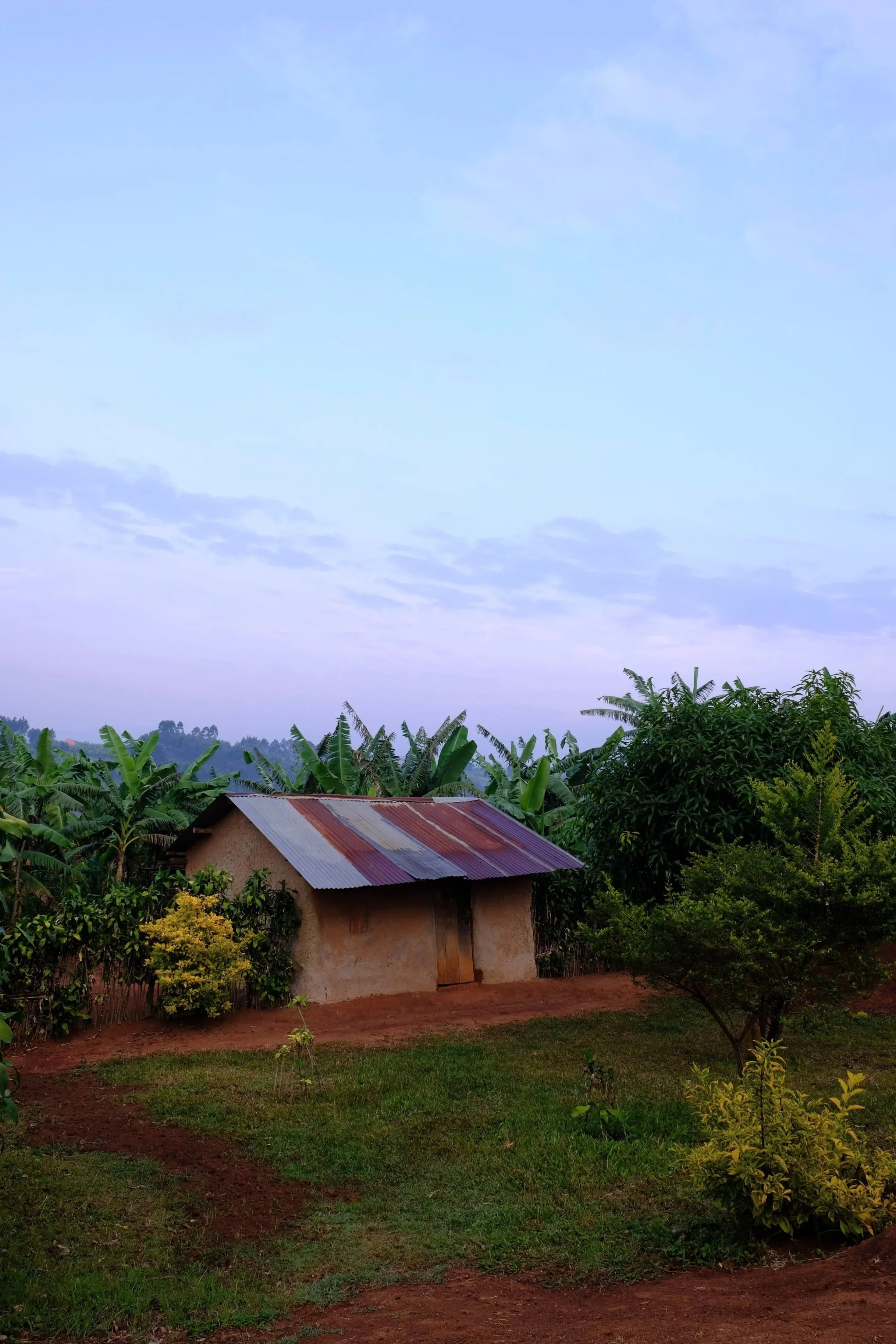 Kibale National Park, Uganda, 2022. 