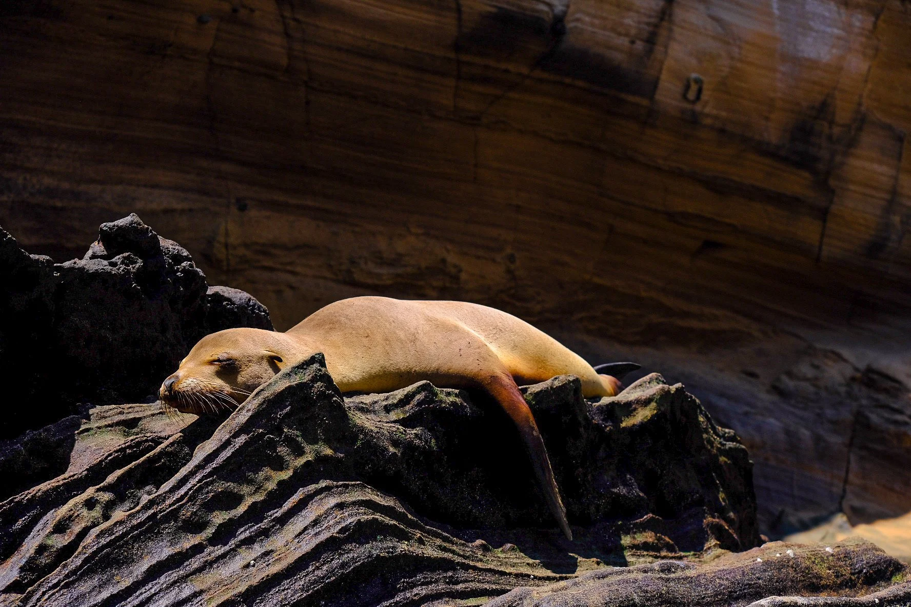 San Cristobal Island, Galápagos, 2022. 