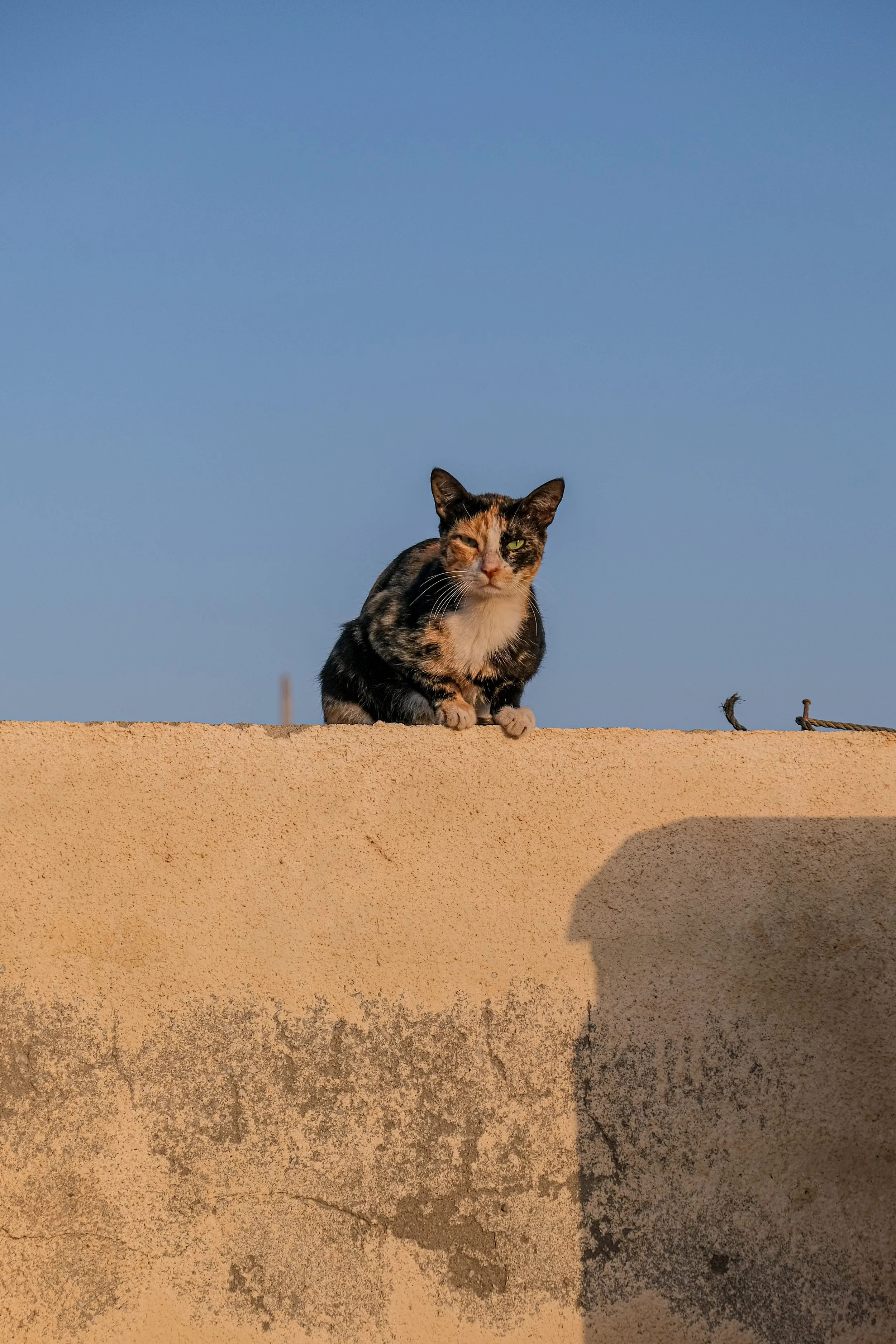 Ras Al Hadd, Oman, 2026. 