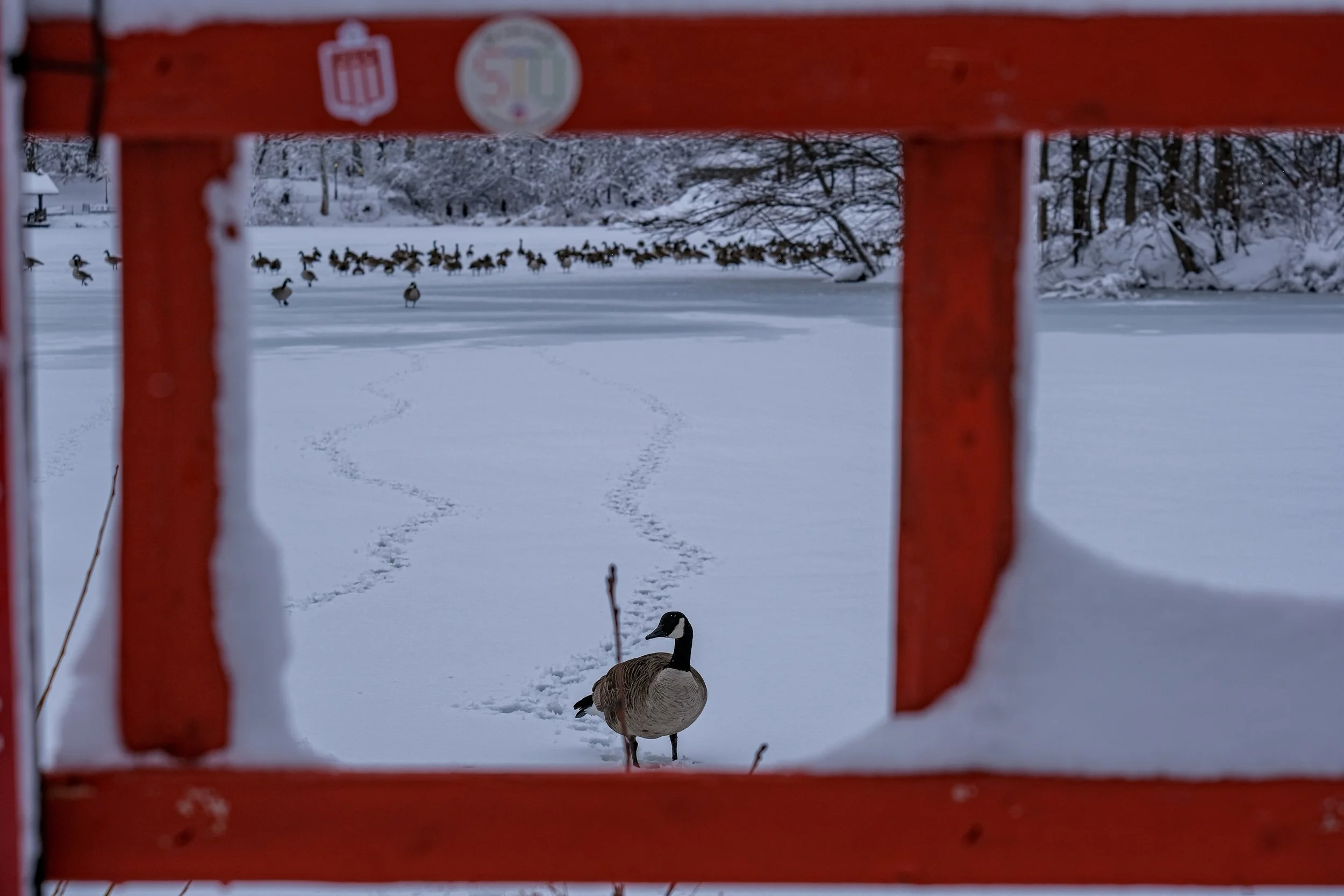 New York City, 2026.