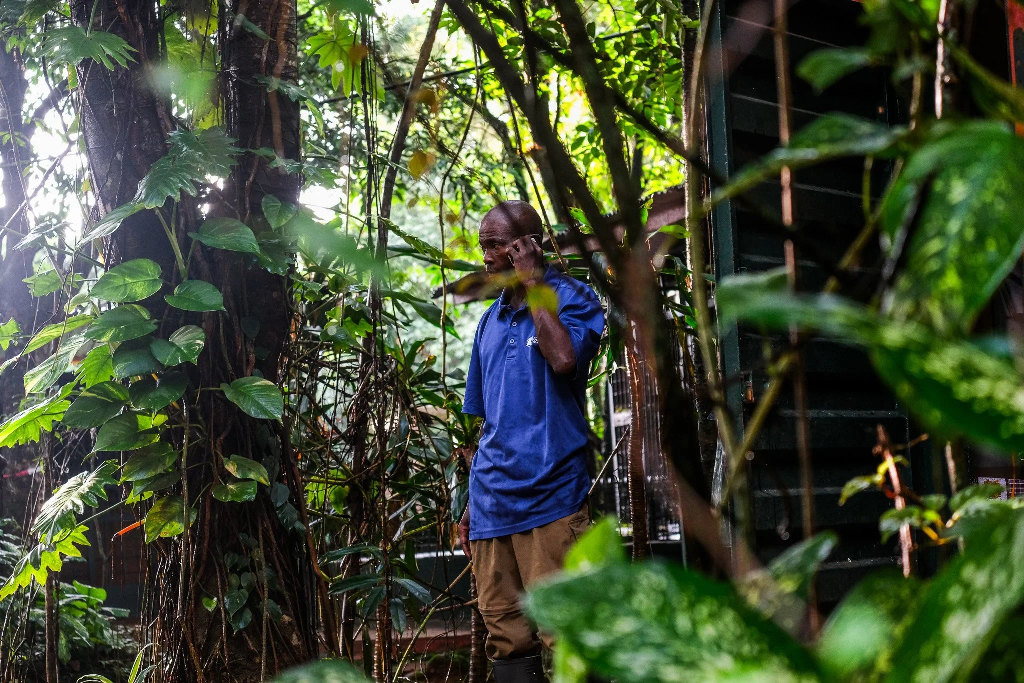 Western Area National Park, Sierra Leone, 2019. 