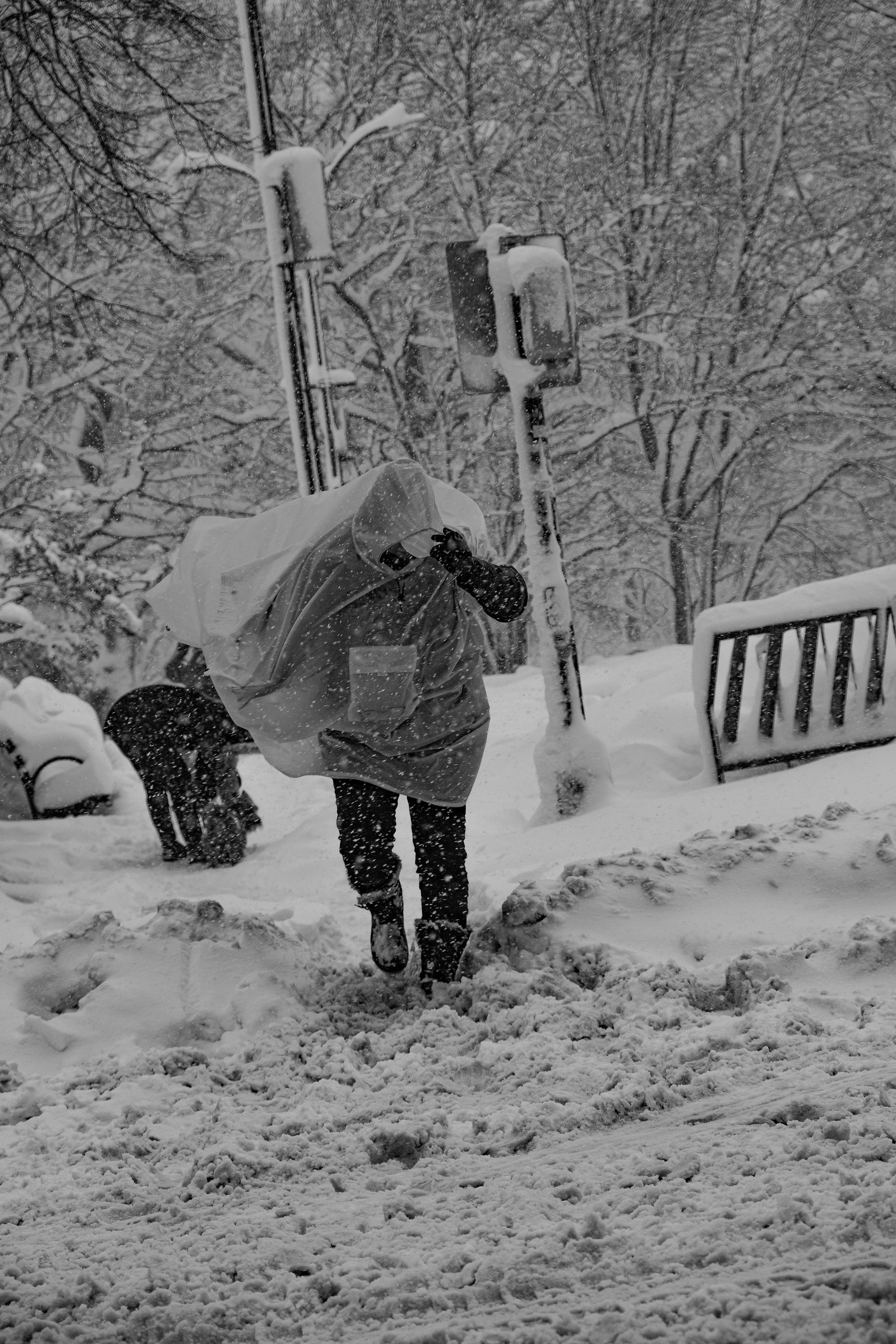 New York City, 2026. 