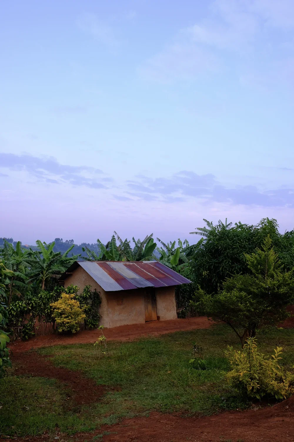 Kibale National Park, Uganda, 2022. 