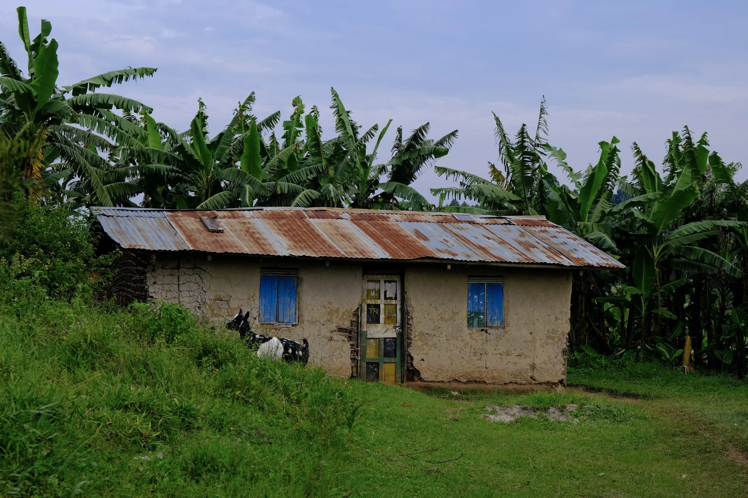 Kyanyawara village, western Uganda, 2022.