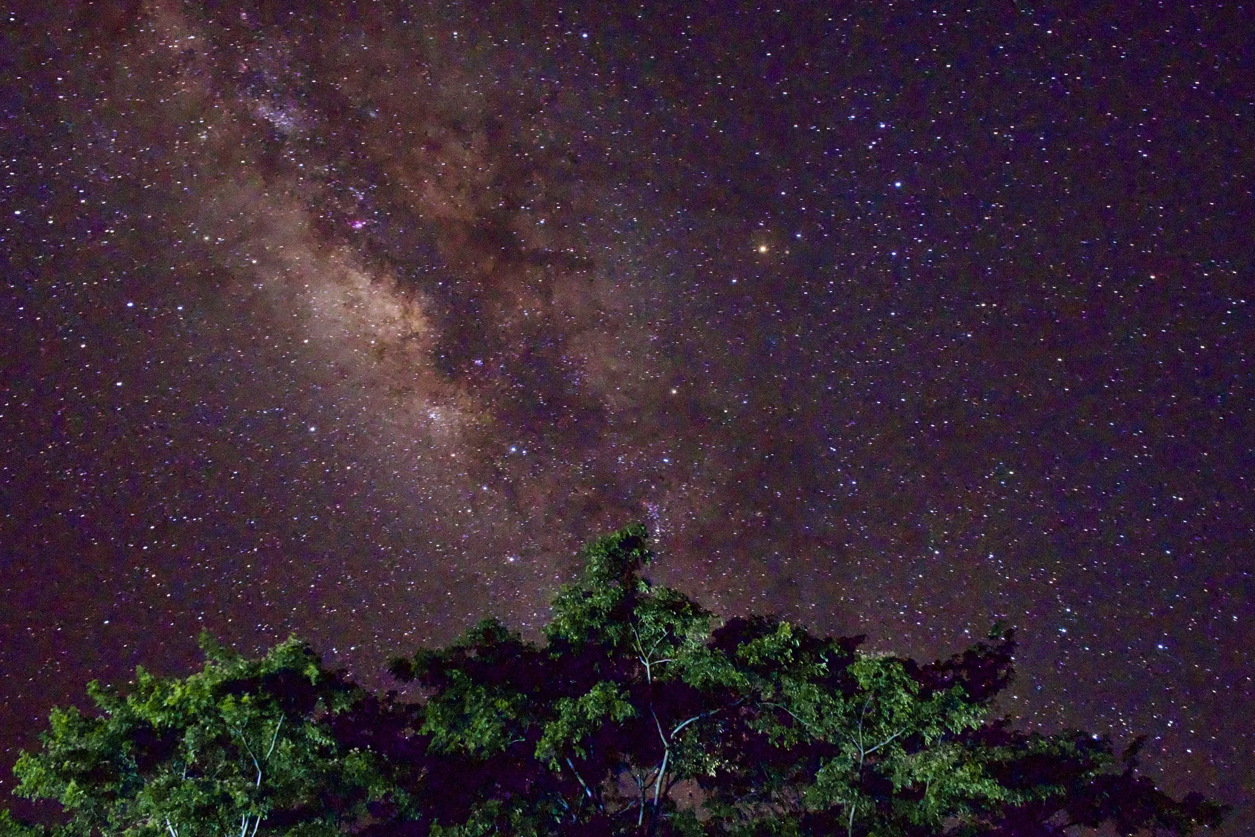 Kibale National Park, Uganda, 2022.