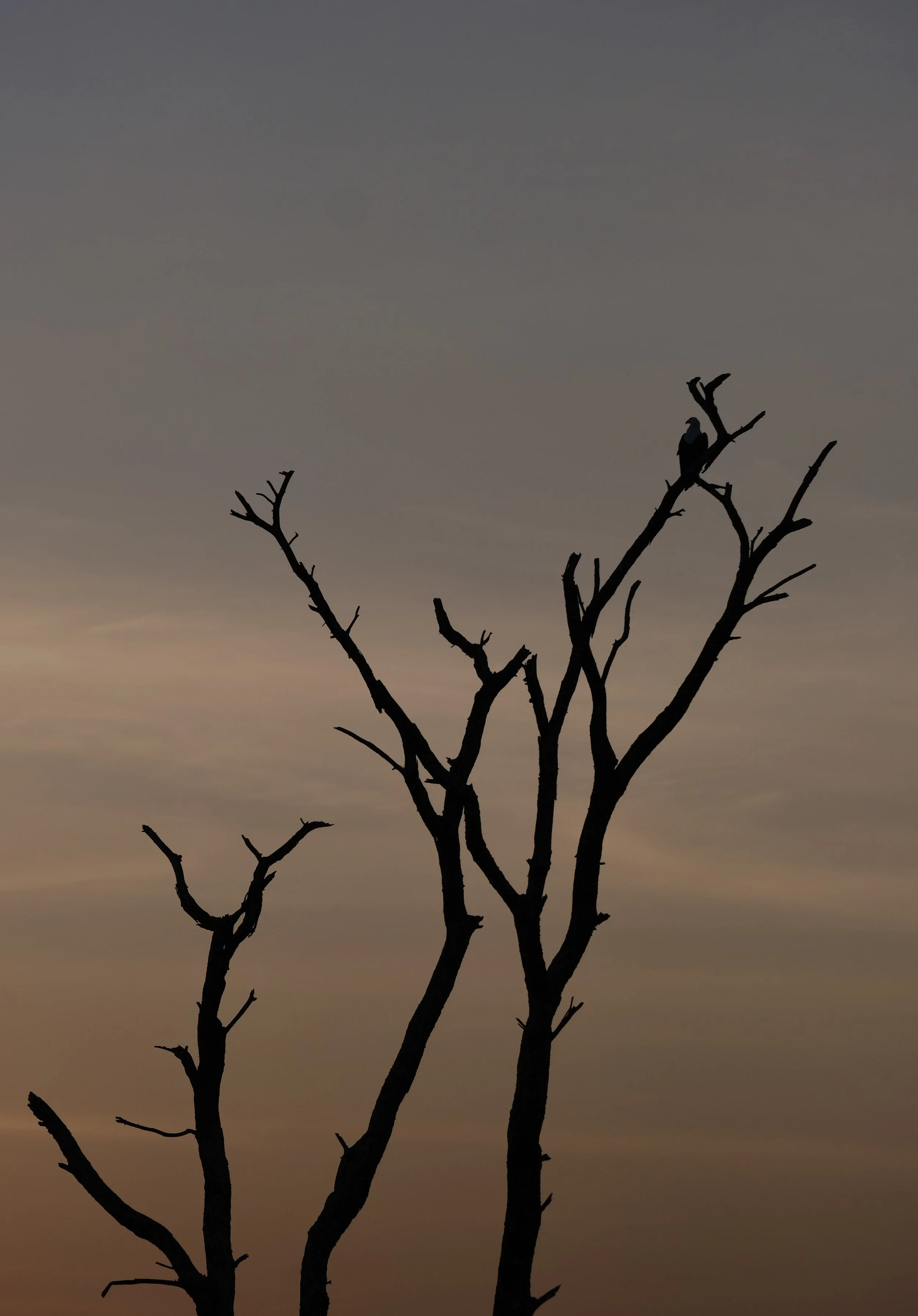 Omo River, Ethiopia, 2025. 