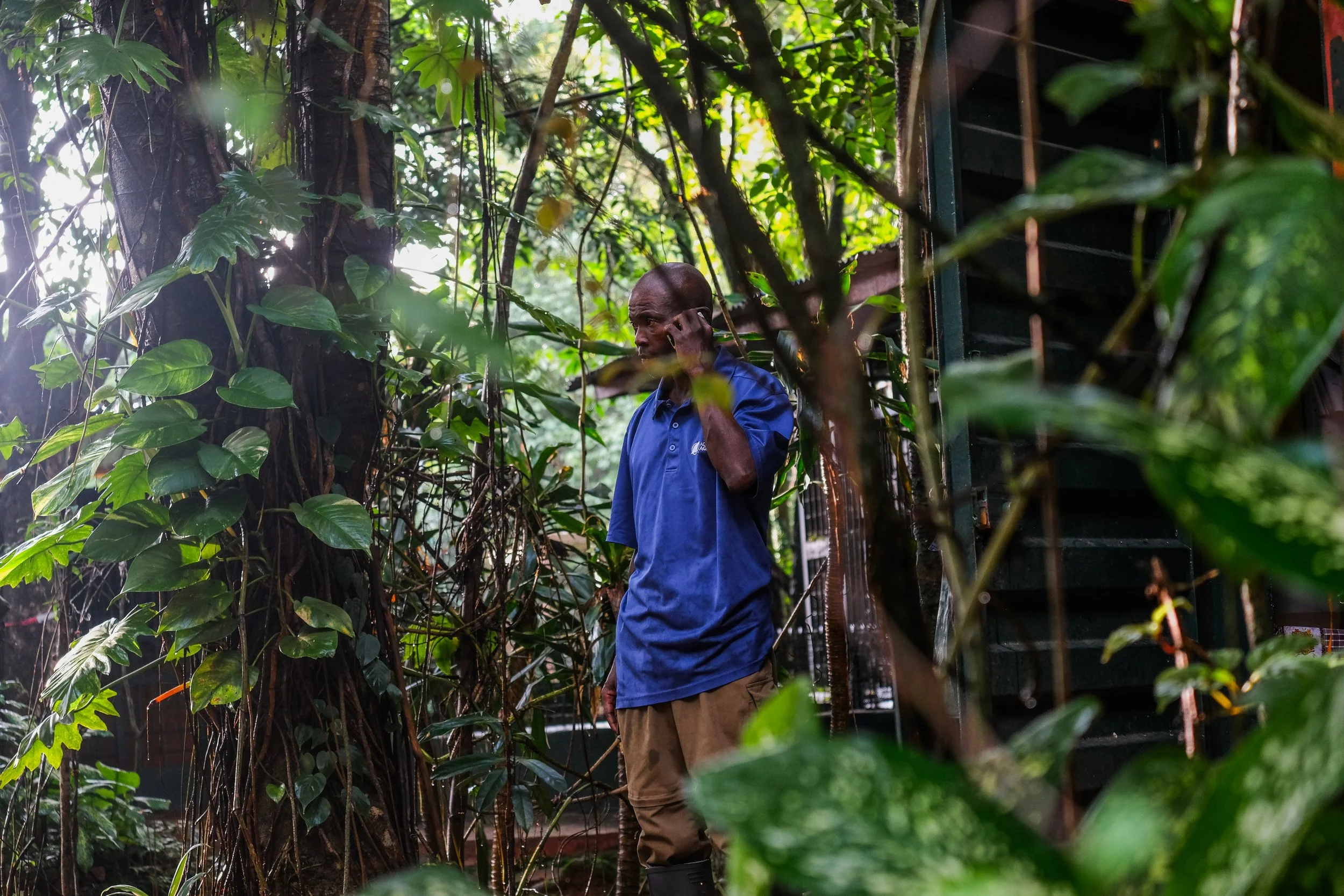 Western Area National Park, Sierra Leone, 2019. 