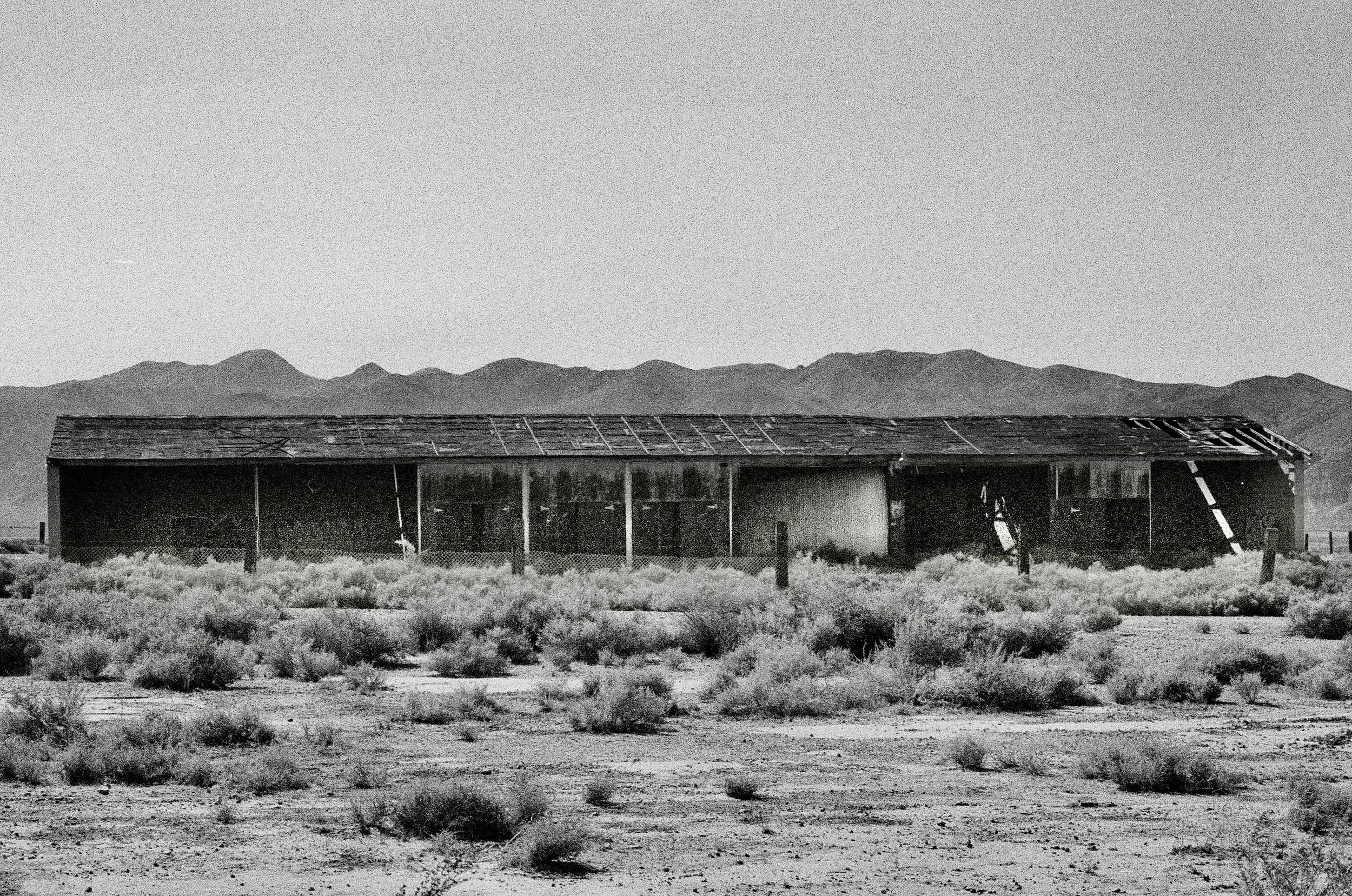 Mojave Desert, 2026.