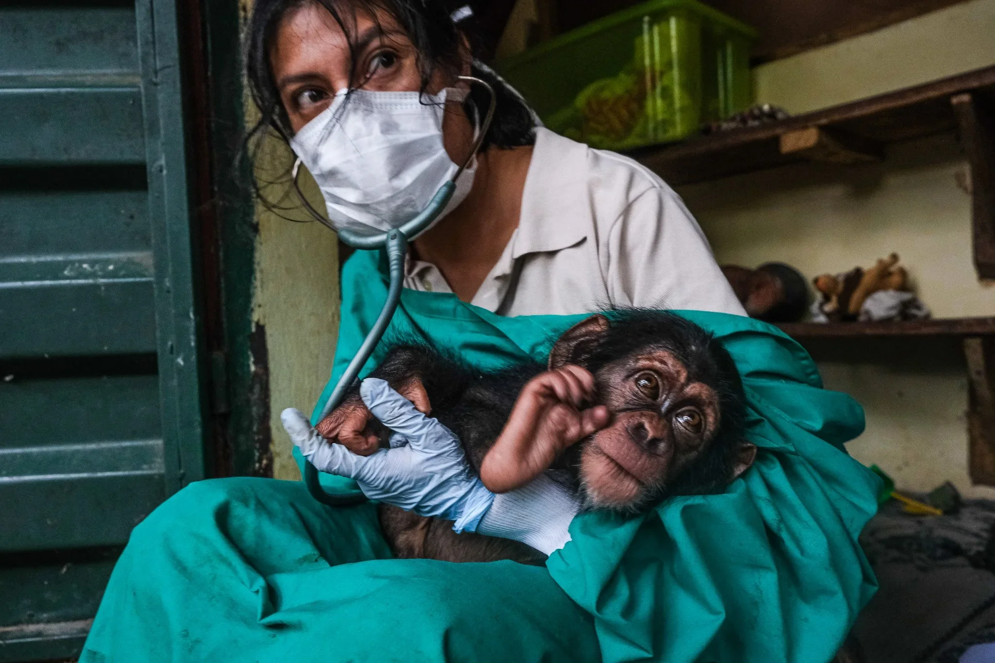 Western Area National Park, Sierra Leone, 2019. 