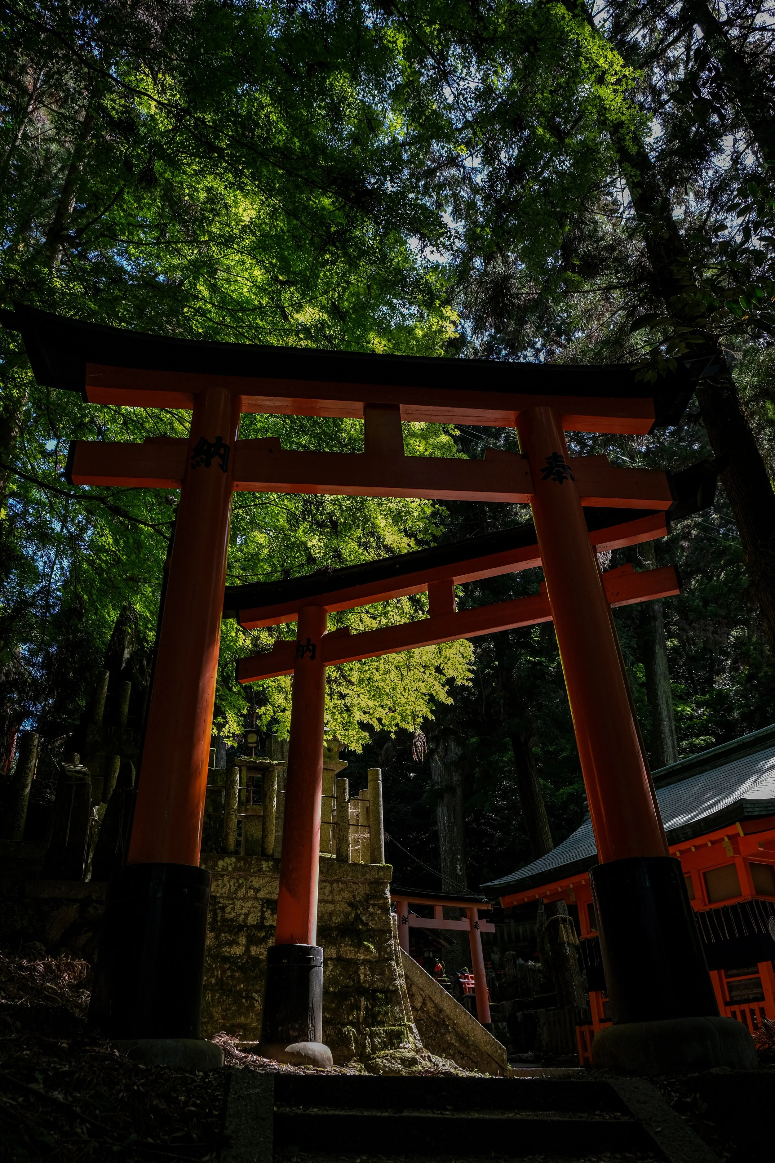 Kyoto, Japan, 2026. 