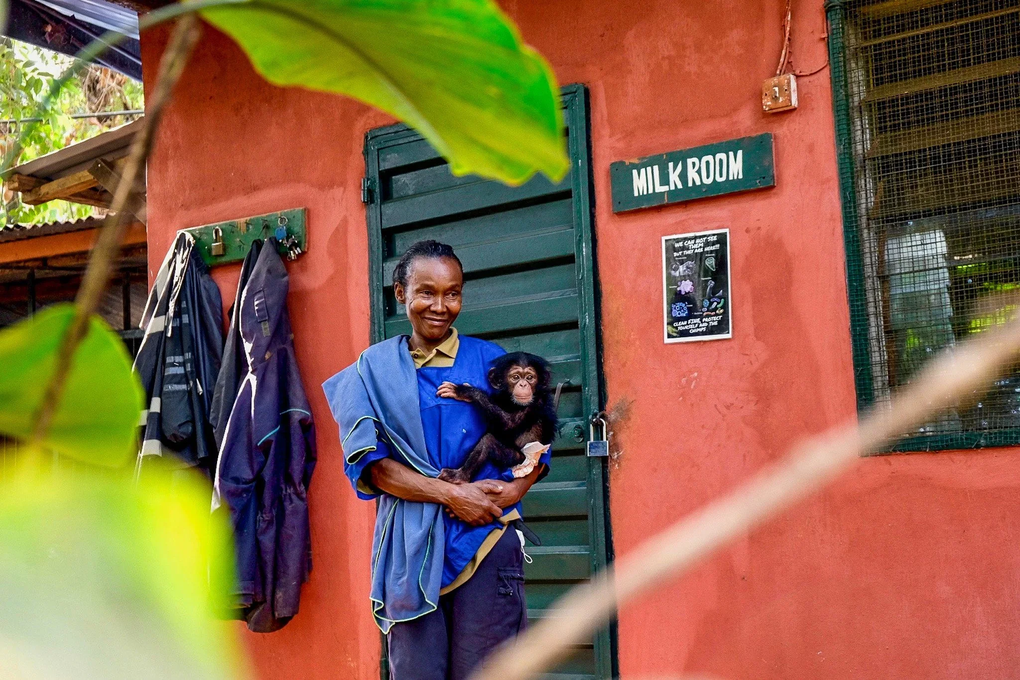 Western Area National Park, Sierra Leone, 2019. 