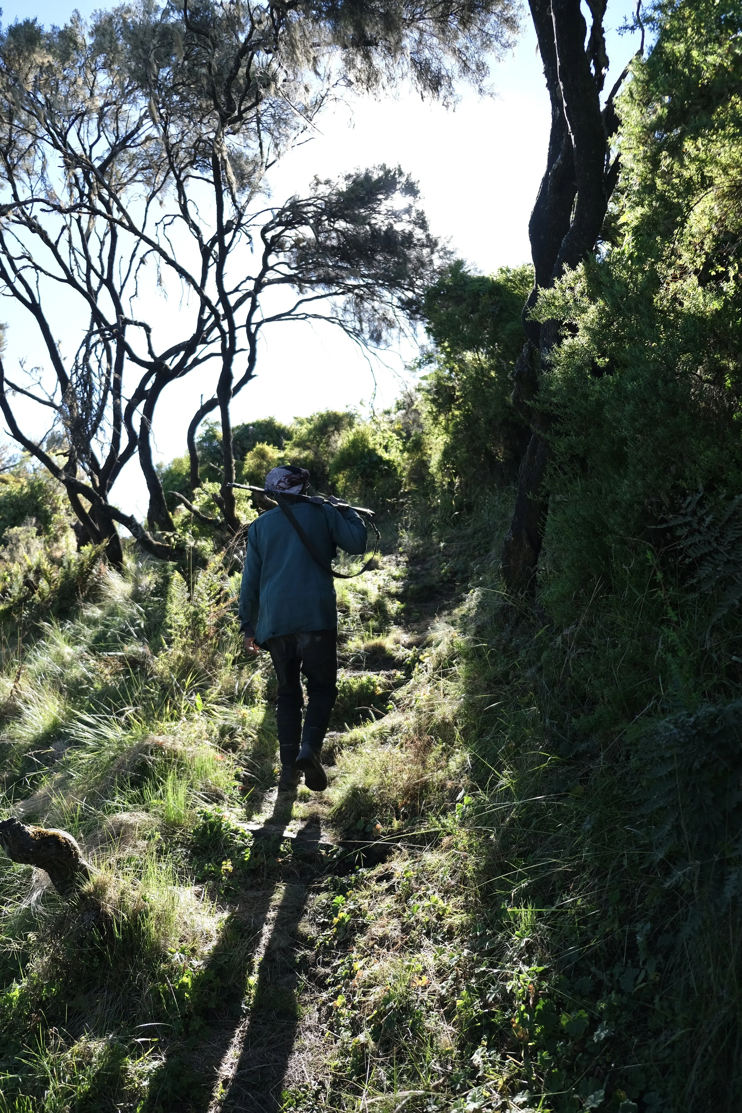 Simien Mountains, Ethiopia, 2025. 