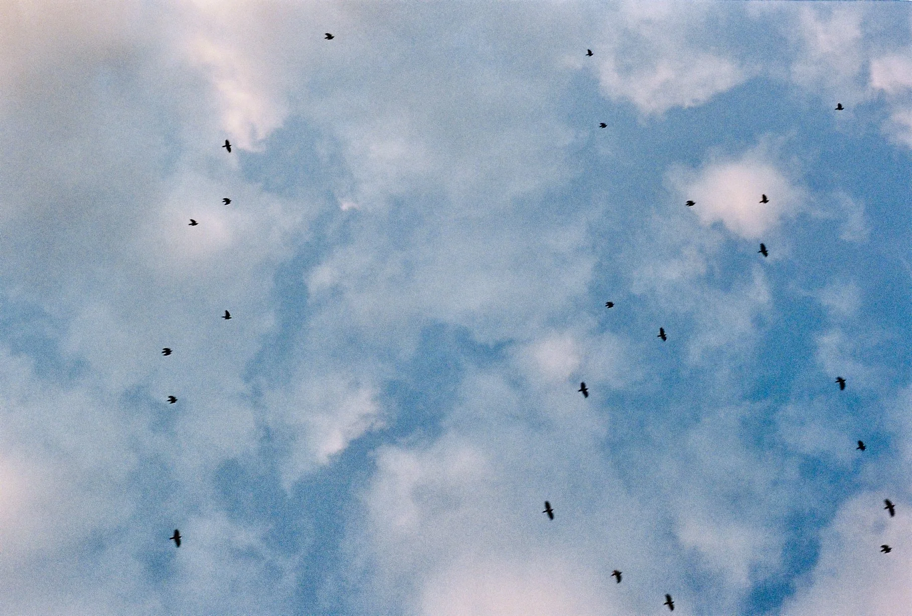 Analog: Copenhagen, 2023. 