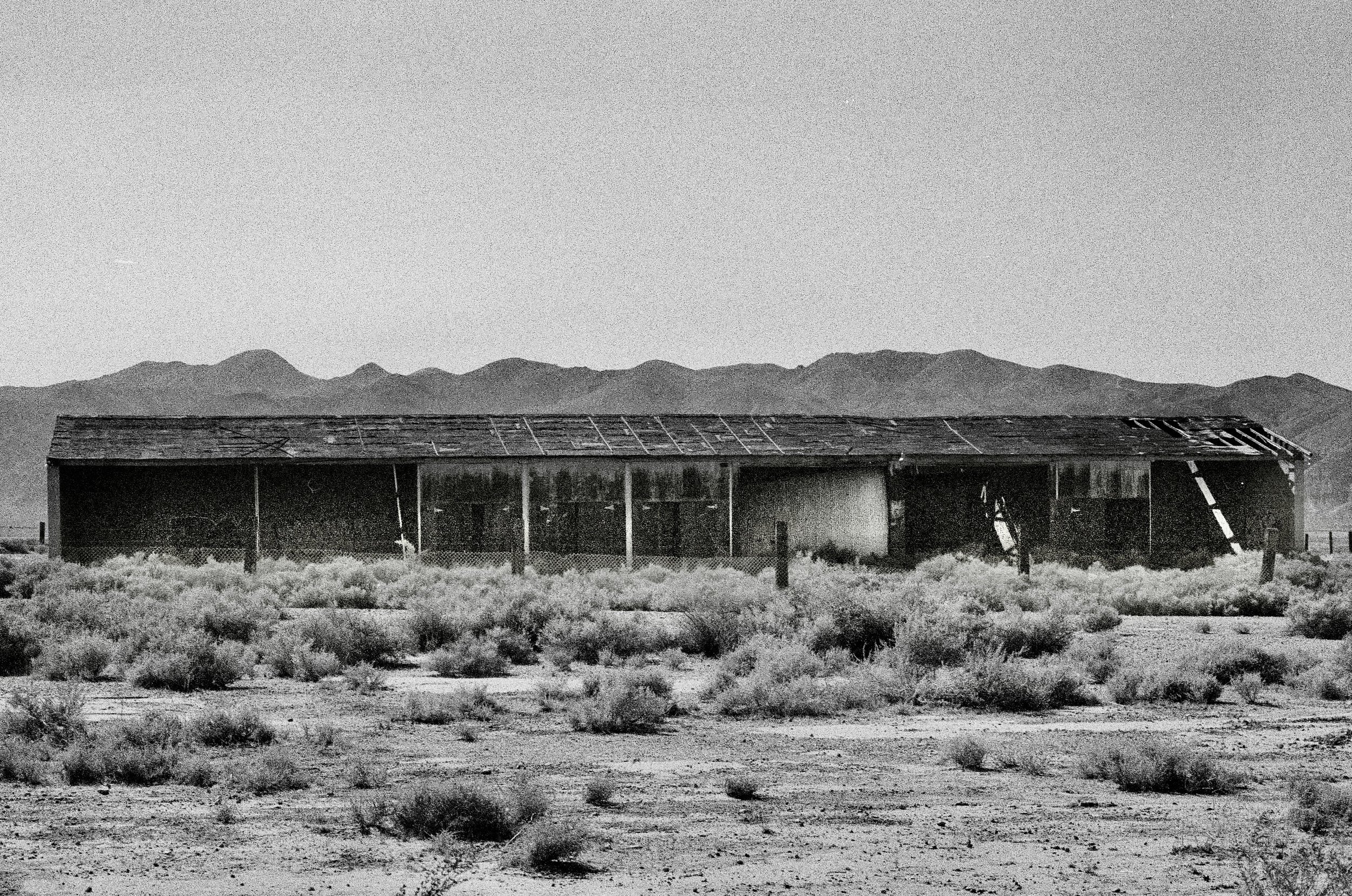 Mojave Desert, 2026. 