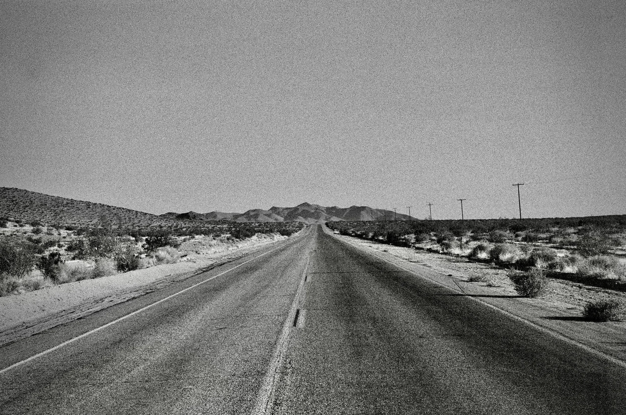 Mojave Desert, 2026. 