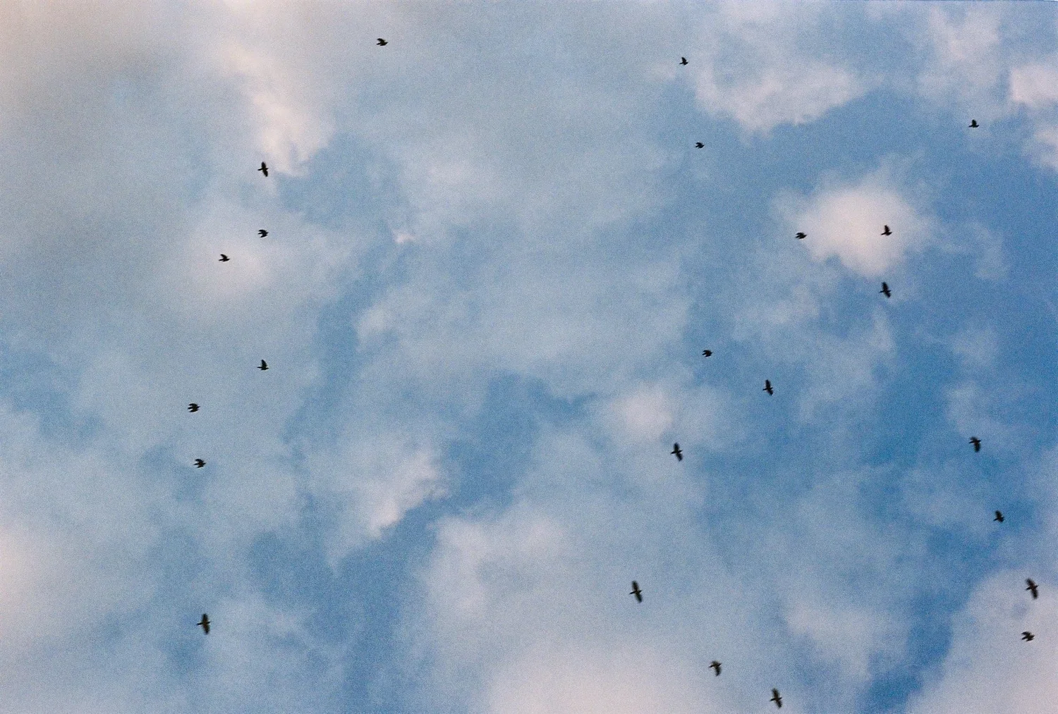 Kyanyawara village, Uganda, 2022. 