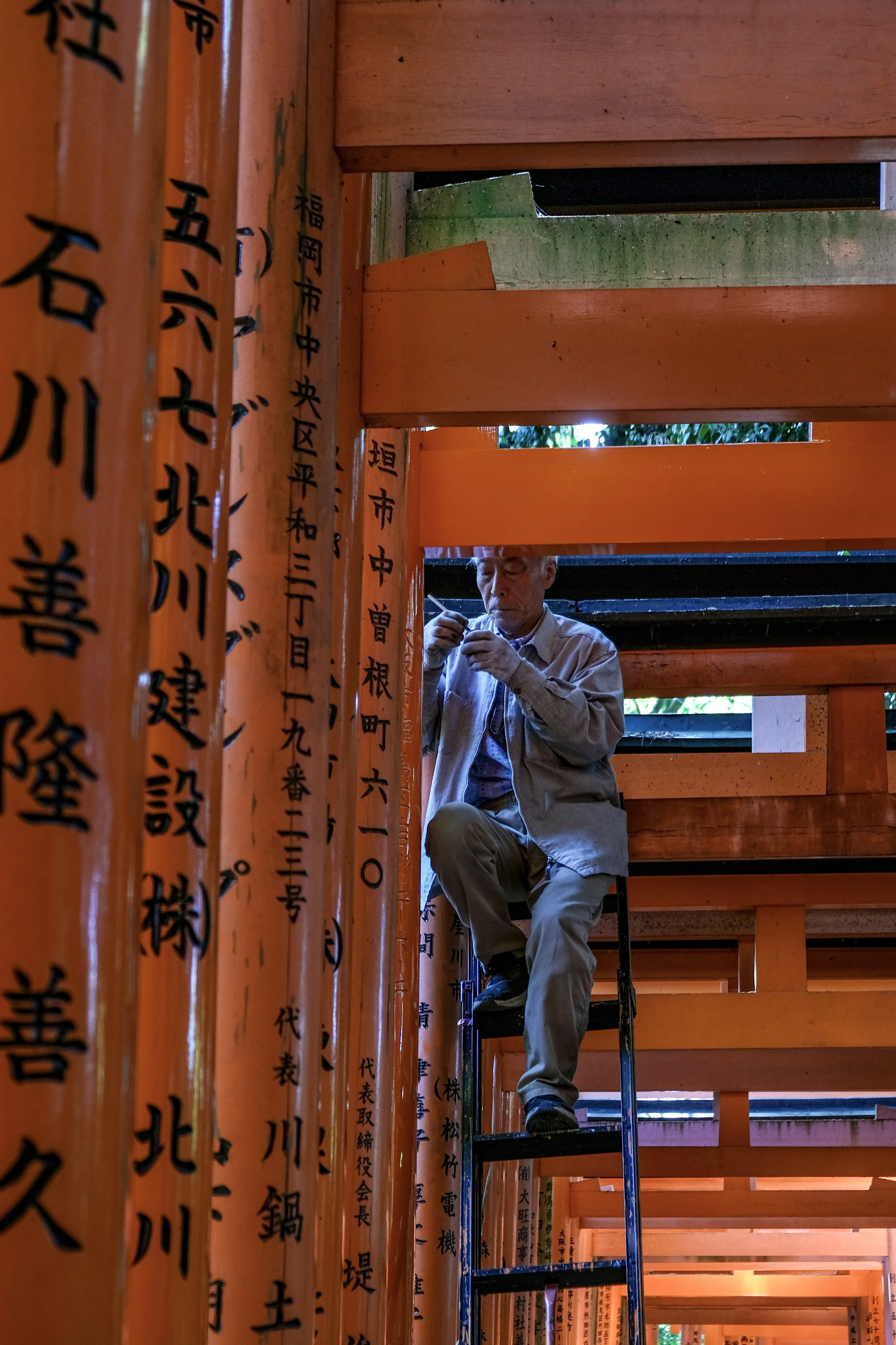Kyoto, Japan, 2026. 