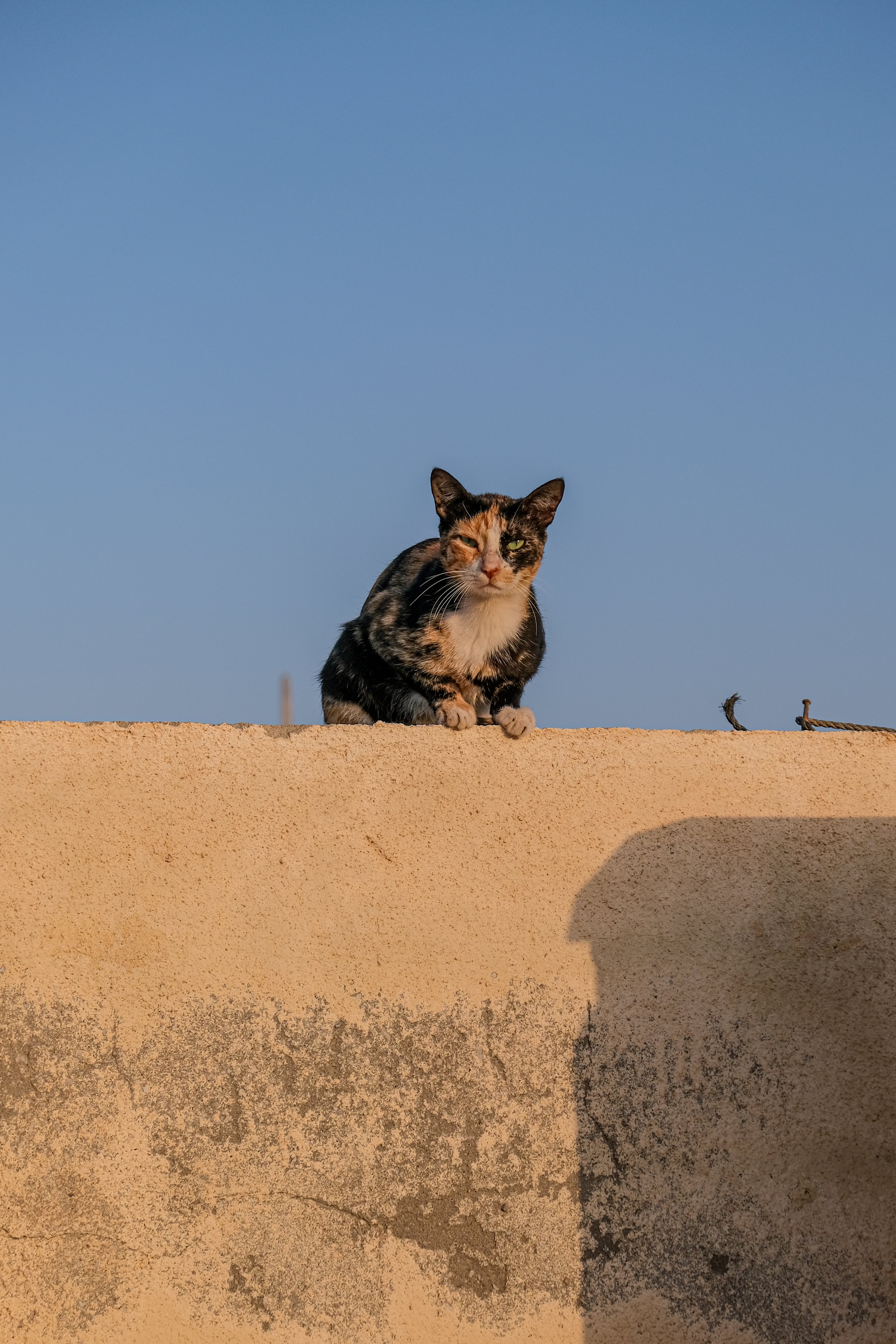 Ras Al Hadd, Oman, 2026. 