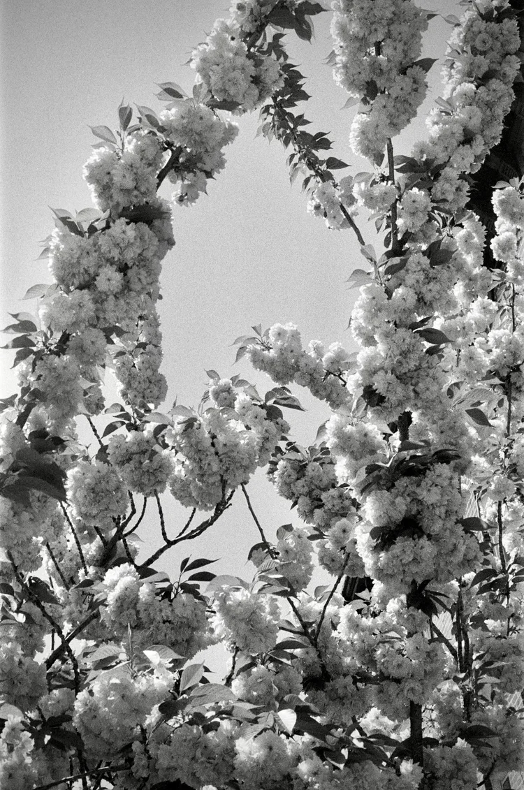 Analog: Belgium, 2022. 