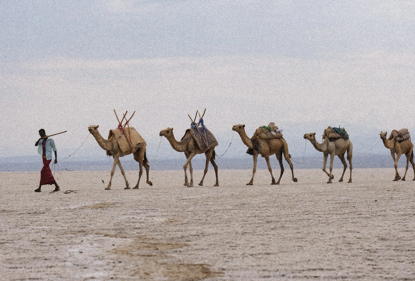 Danakil Desert, Ethiopia, 2025.