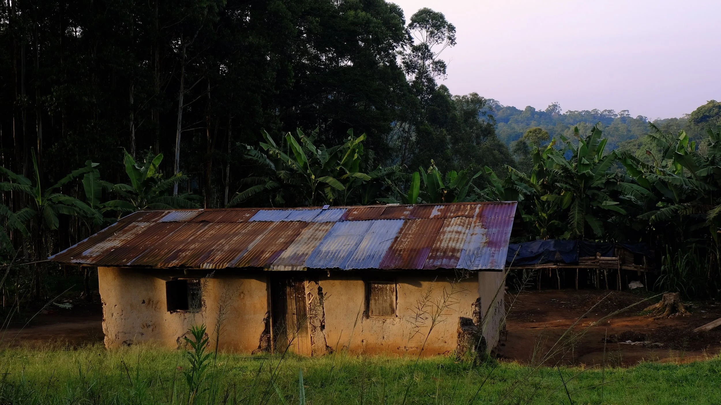 Kibale National Park, Uganda, 2022.