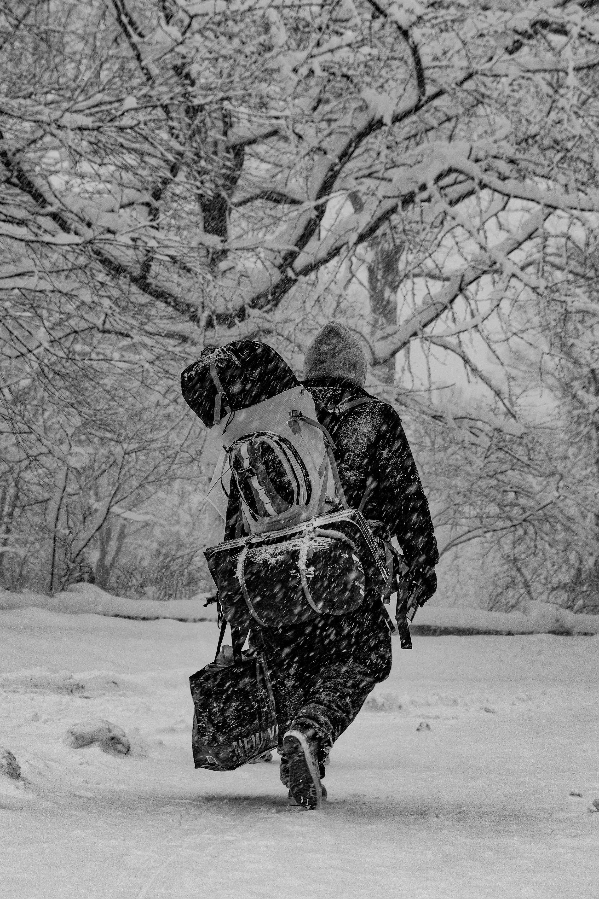 New York City, 2026. 