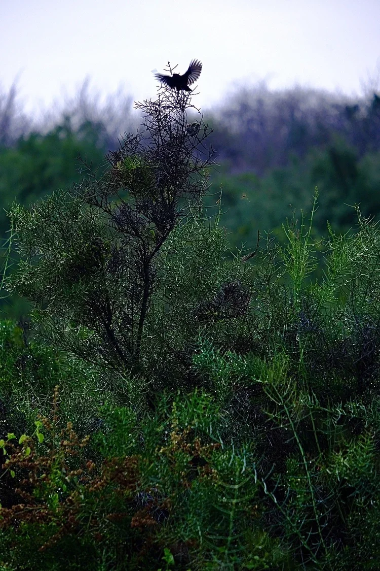 Santa Cruz Island, Galápagos, 2022. 