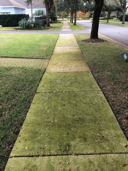 SIDEWALKS-001.jpeg